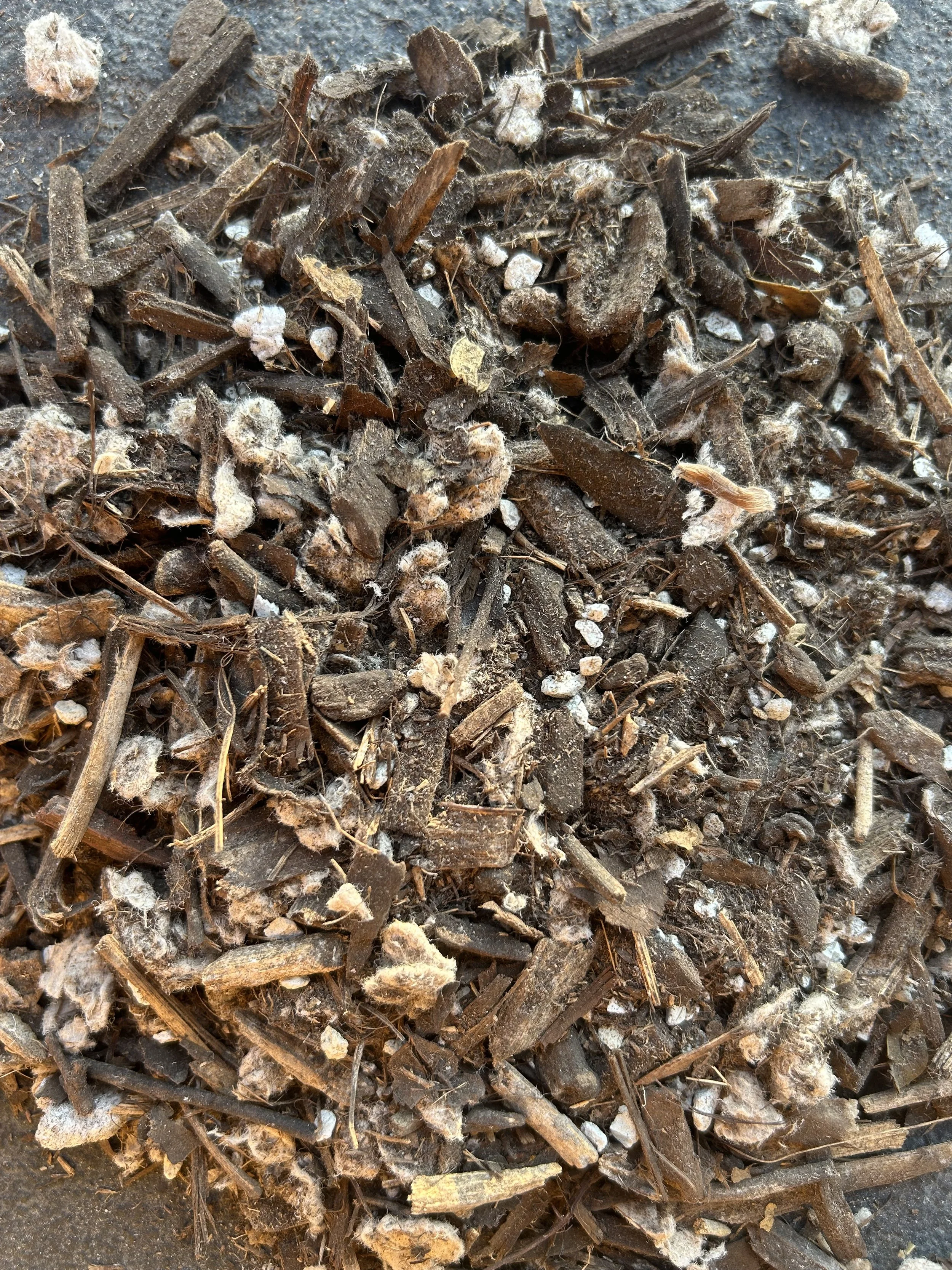Close-up of  compost media designed to remove contaminants.