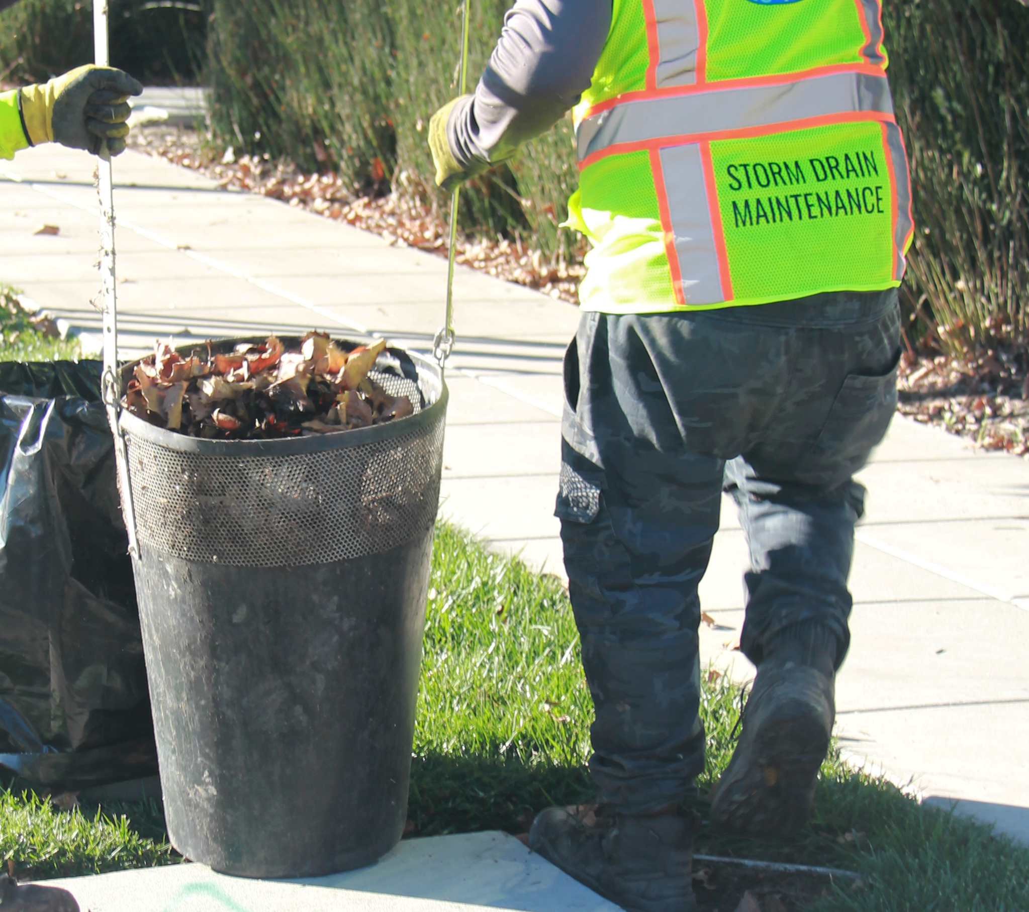 A worker wearing a high-visibility vest labeled 'Storm Drain Maintenance' is cleaning out a storm drain with leaves in it.