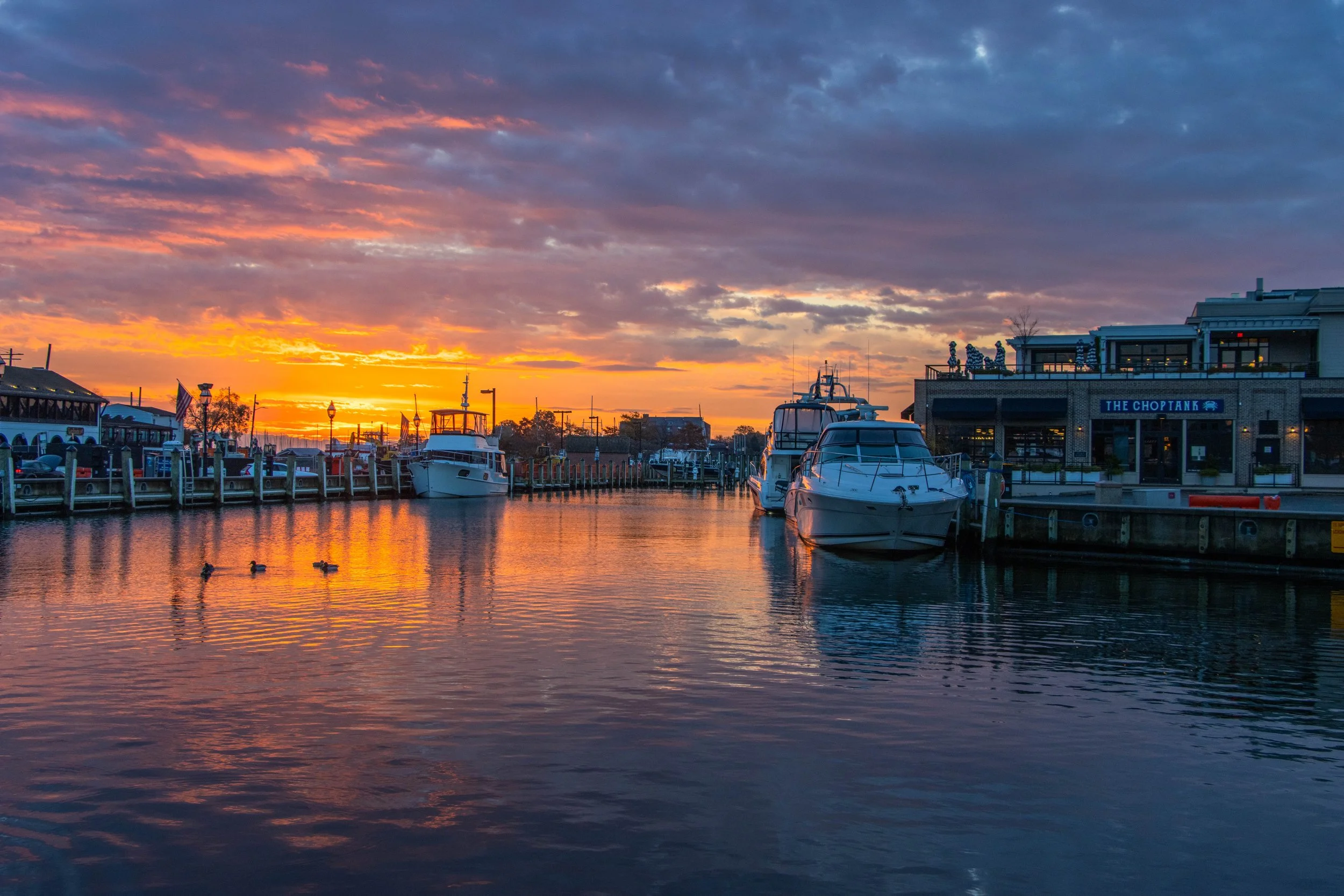 IMG_4033.jpg