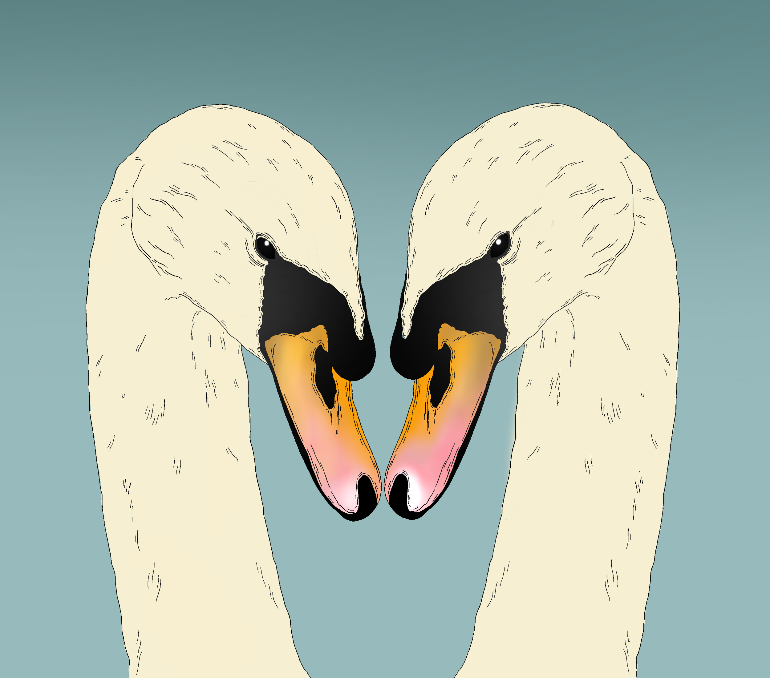 IMG_0631.png