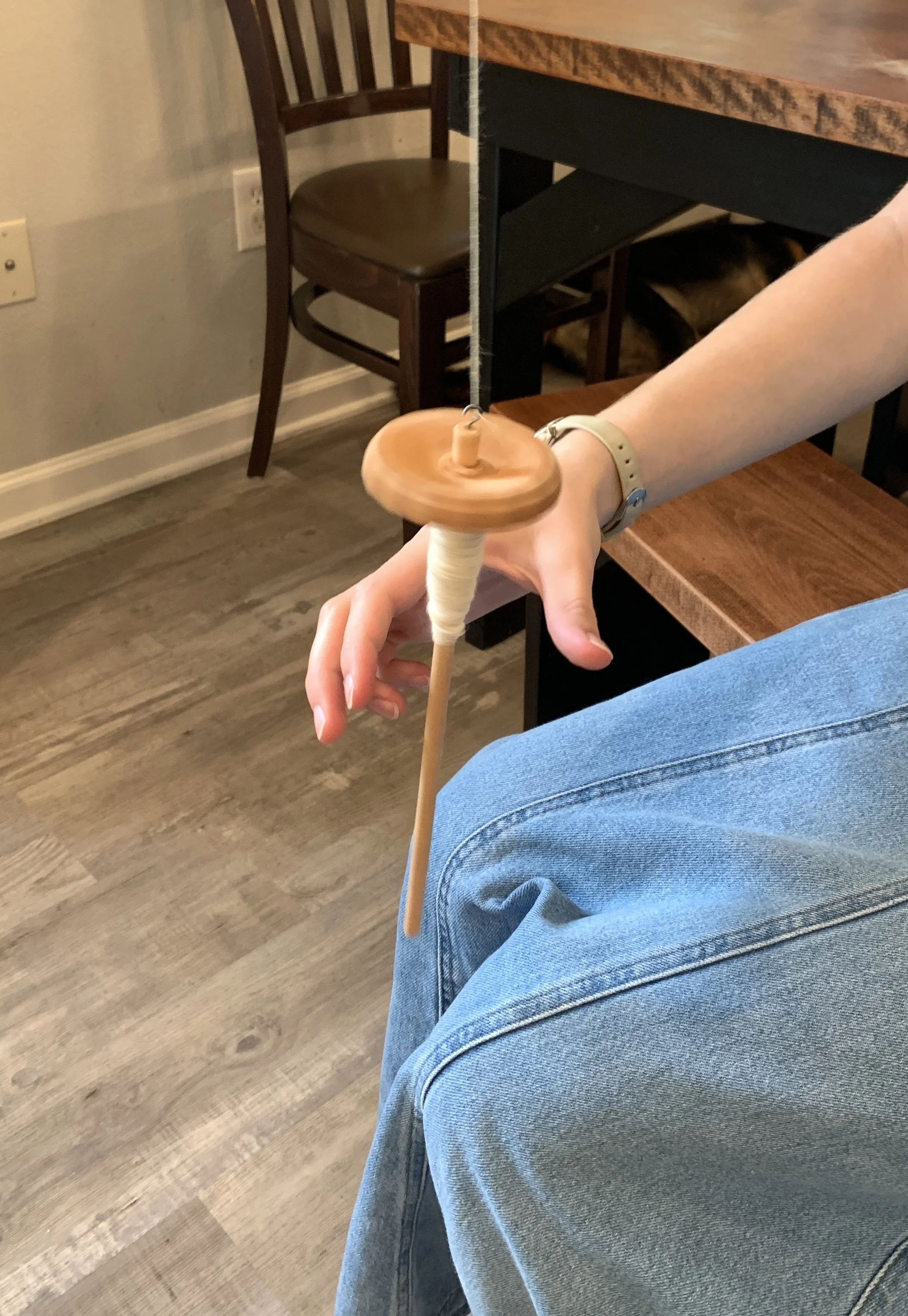 Drop Spindle Basics