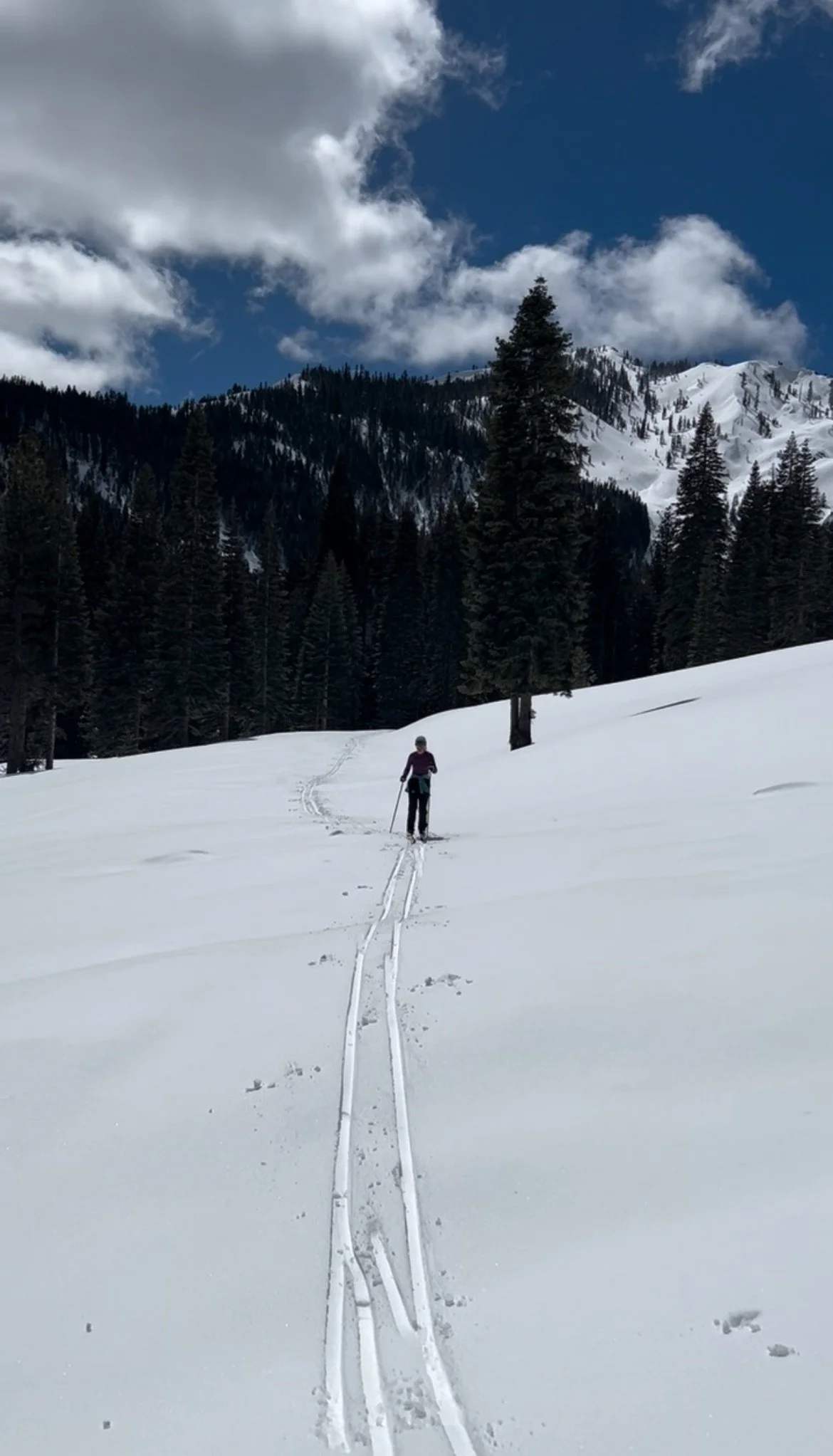 people skiing uphill