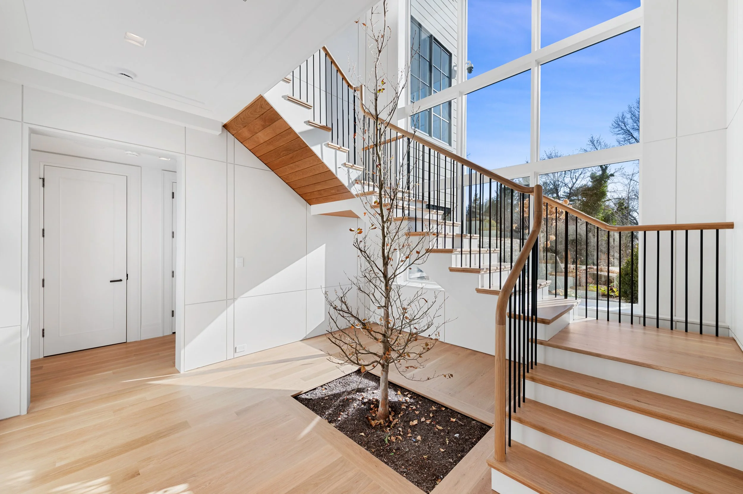 382 North Street Rear Stairs Tree Dec 2025.jpg