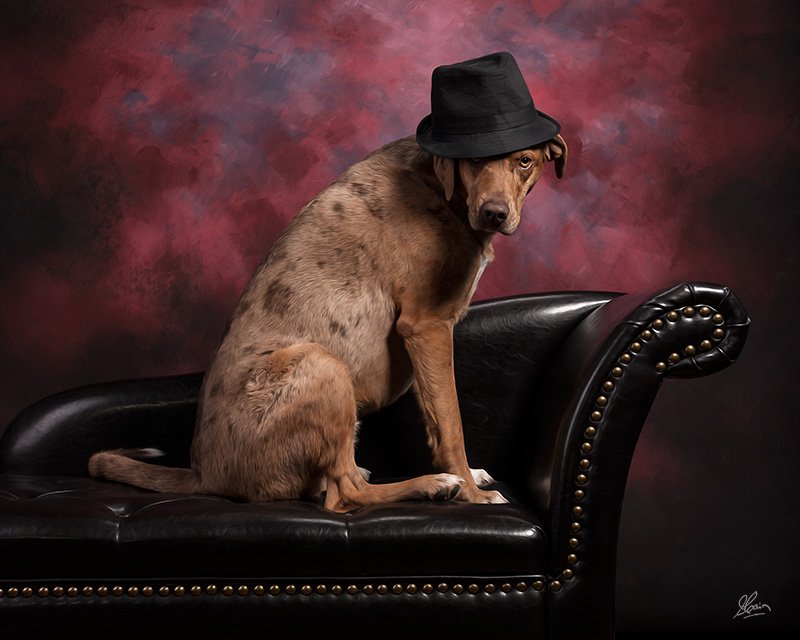 Doggie Style