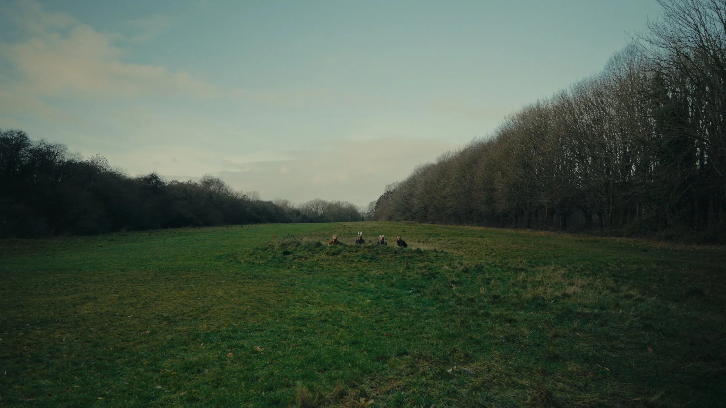 StillHereStills_1.1.1.jpg