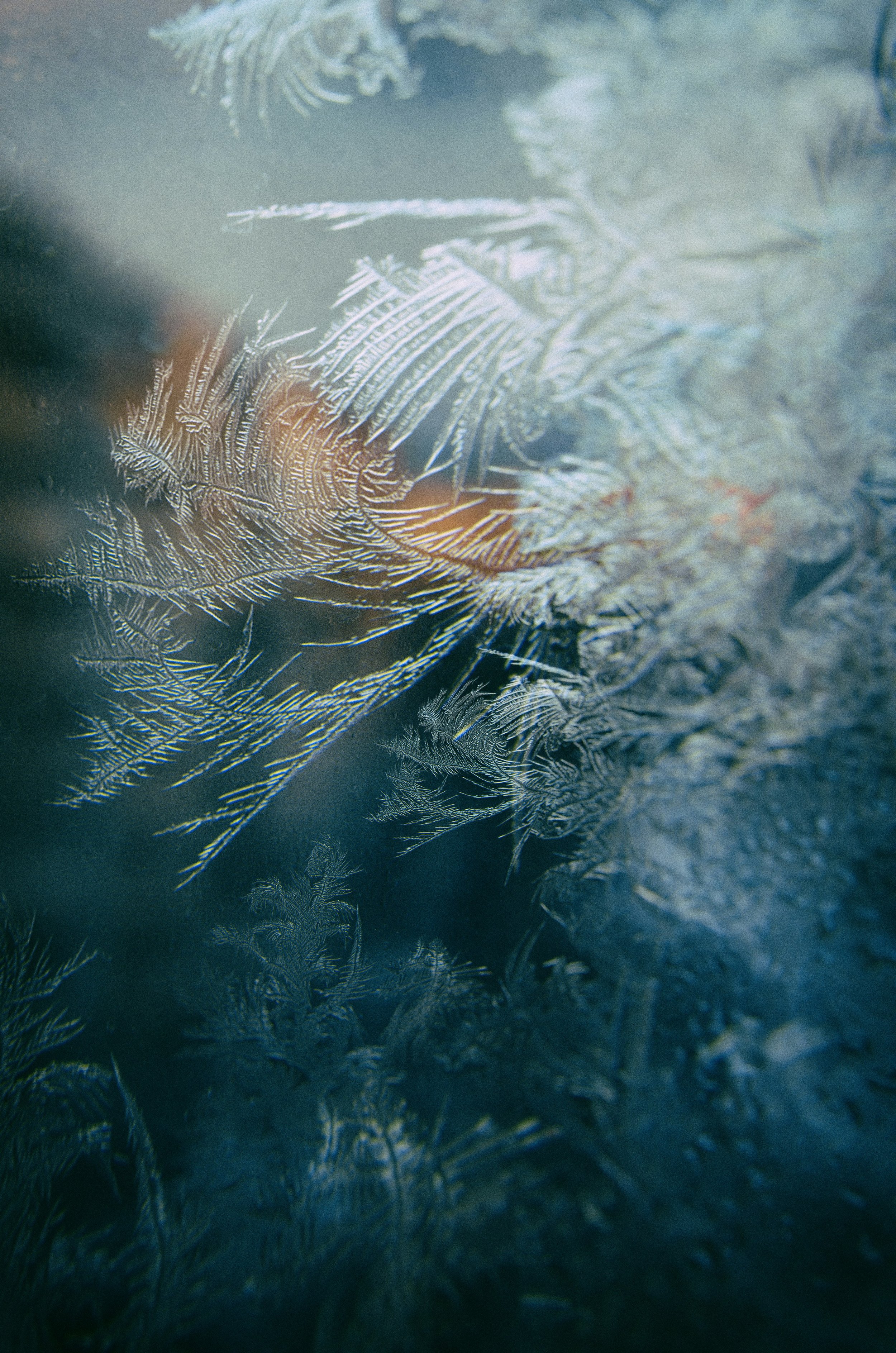 Whole-body cryotherapy can reduce the inflammatory response in humans: a meta-analysis based on 11 randomized controlled trials