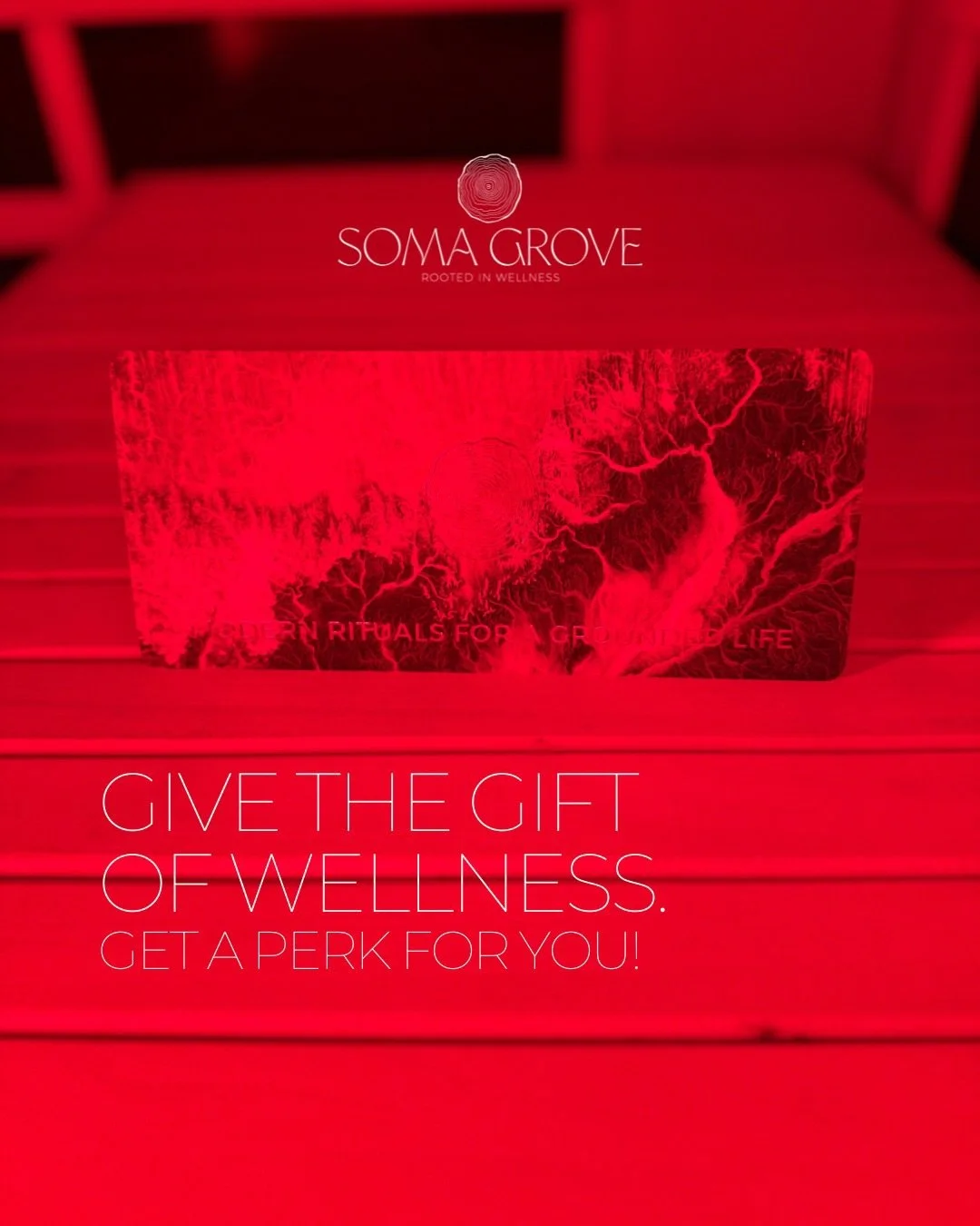 This holiday season, give a gift that truly keeps on giving &ndash; both to them AND to you! ✨

Introducing our special Soma Grove Gift Card promotion: Purchase a Soma Grove Gift Card this holiday season and receive 10% back in a voucher to use on yo