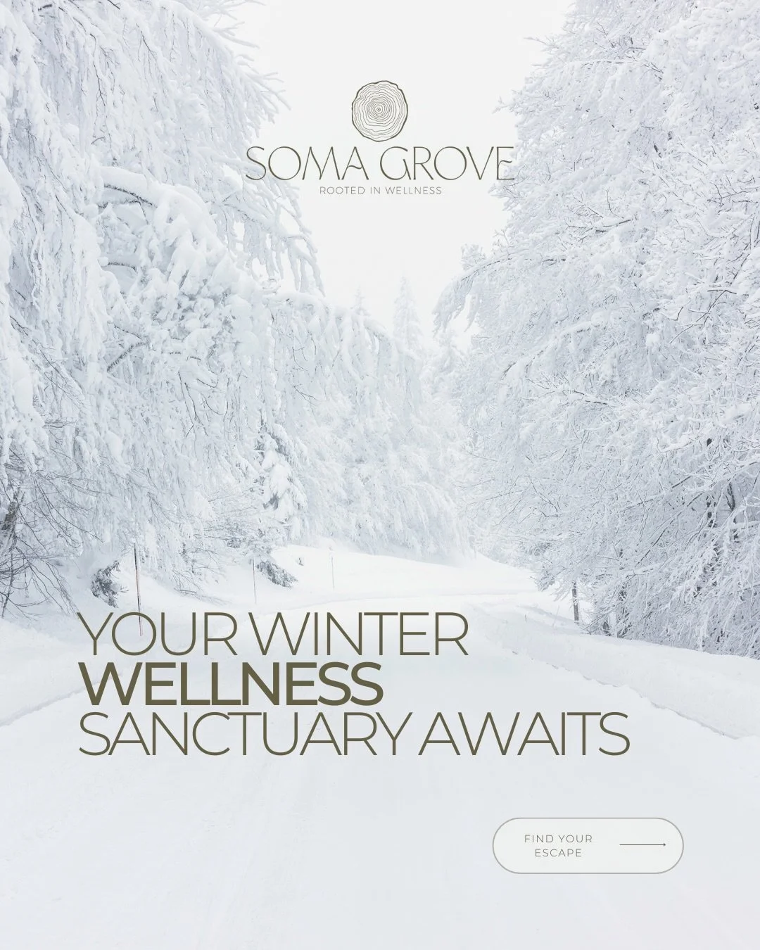 Feeling the winter blues or post-storm stir-crazy? 🥶🌬️

Soma Grove is your ultimate sanctuary and remedy in the heart of the Hudson Valley! Don&rsquo;t let this weather dull your shine.

Come visit us and discover how we can help you:
✨ Melt away t