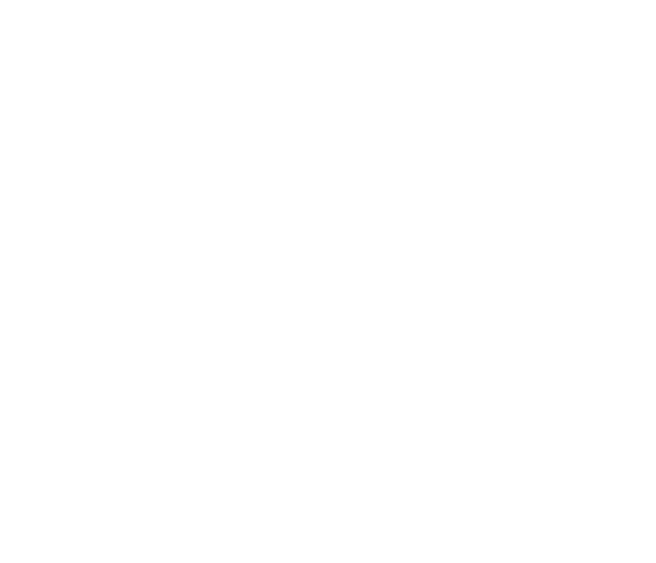 The Fried Rice Collective | DC Restaurant Group | Washington DC