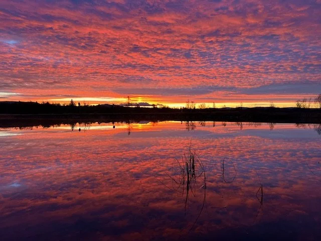 Helseretreat 🧘‍♀️