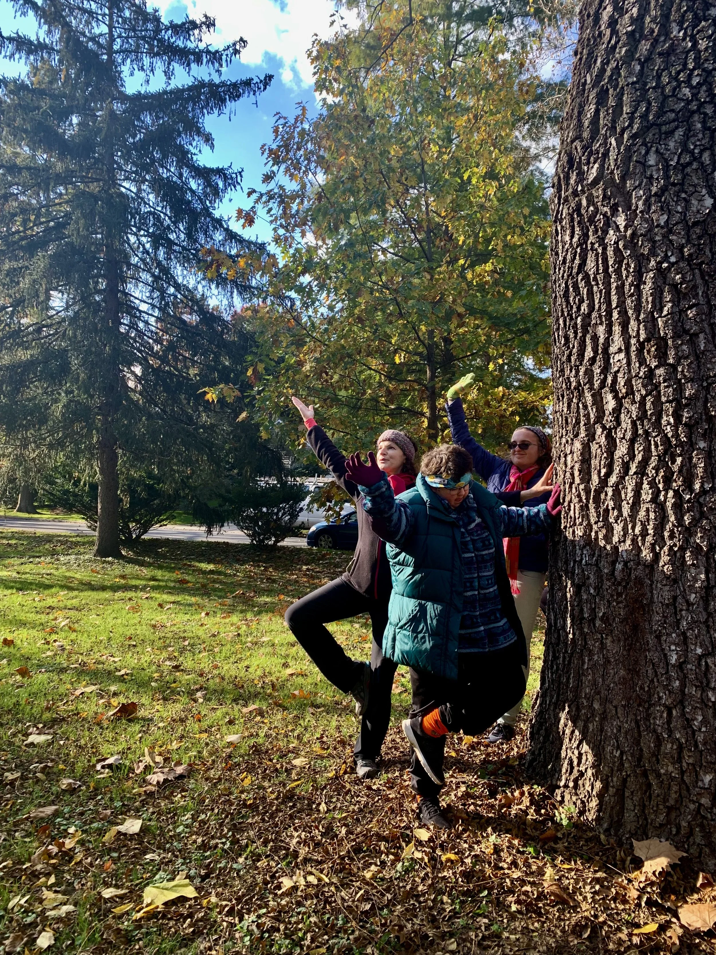 Group of people hugging a large tree in a park on a sunny fall day.