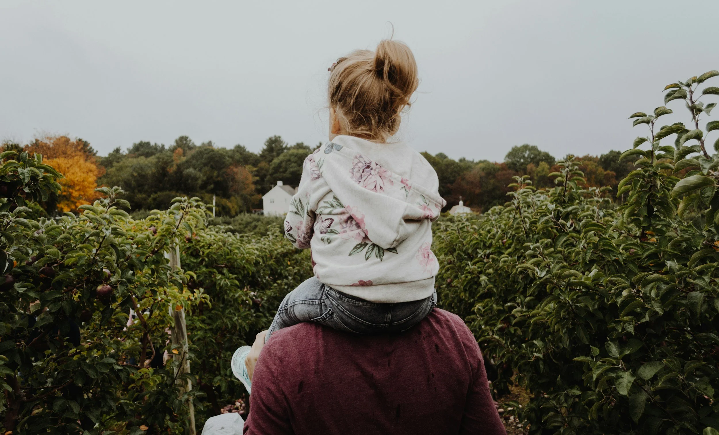How Parent Coaching Works: Support for Real-Life Family Stress