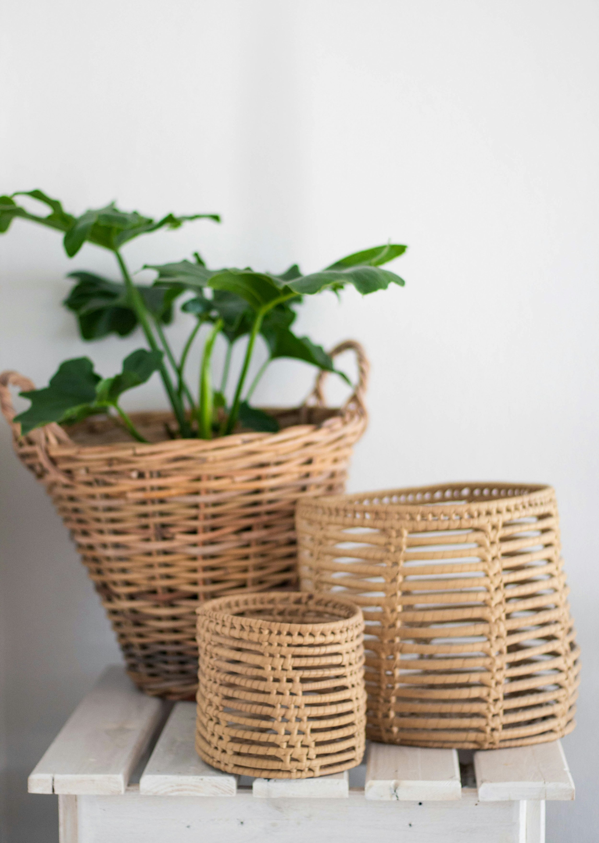 Three wicker baskets of different sizes, with a potted green plant inside the largest basket, on a white wooden table against a white wall.