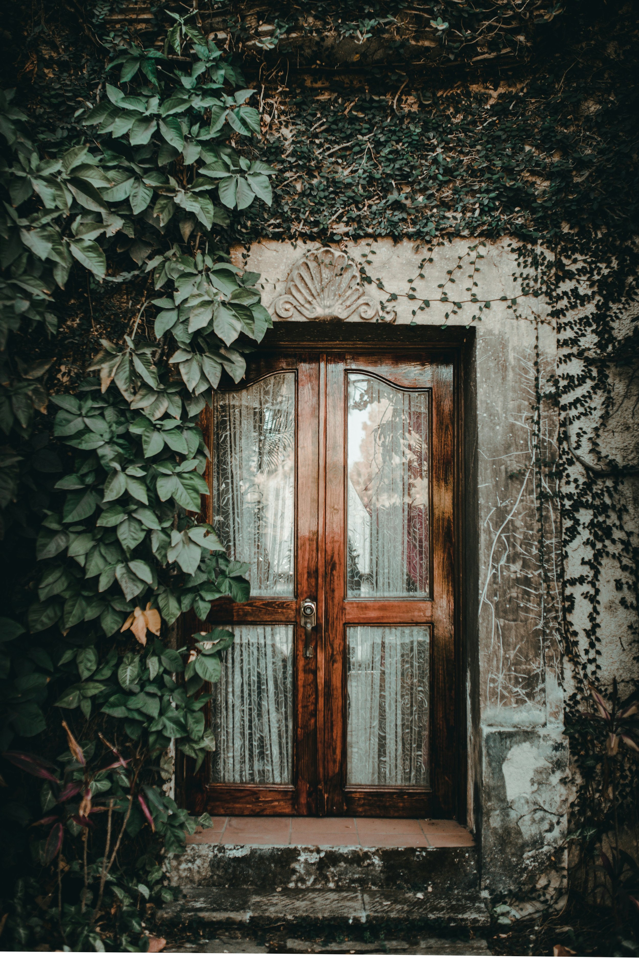 Wooden door framed by greenery, with weathered stone and ivy surrounding it.
