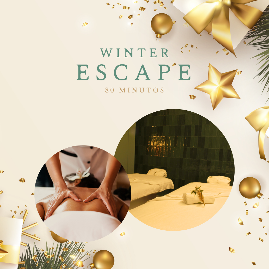 winter escape sta.png