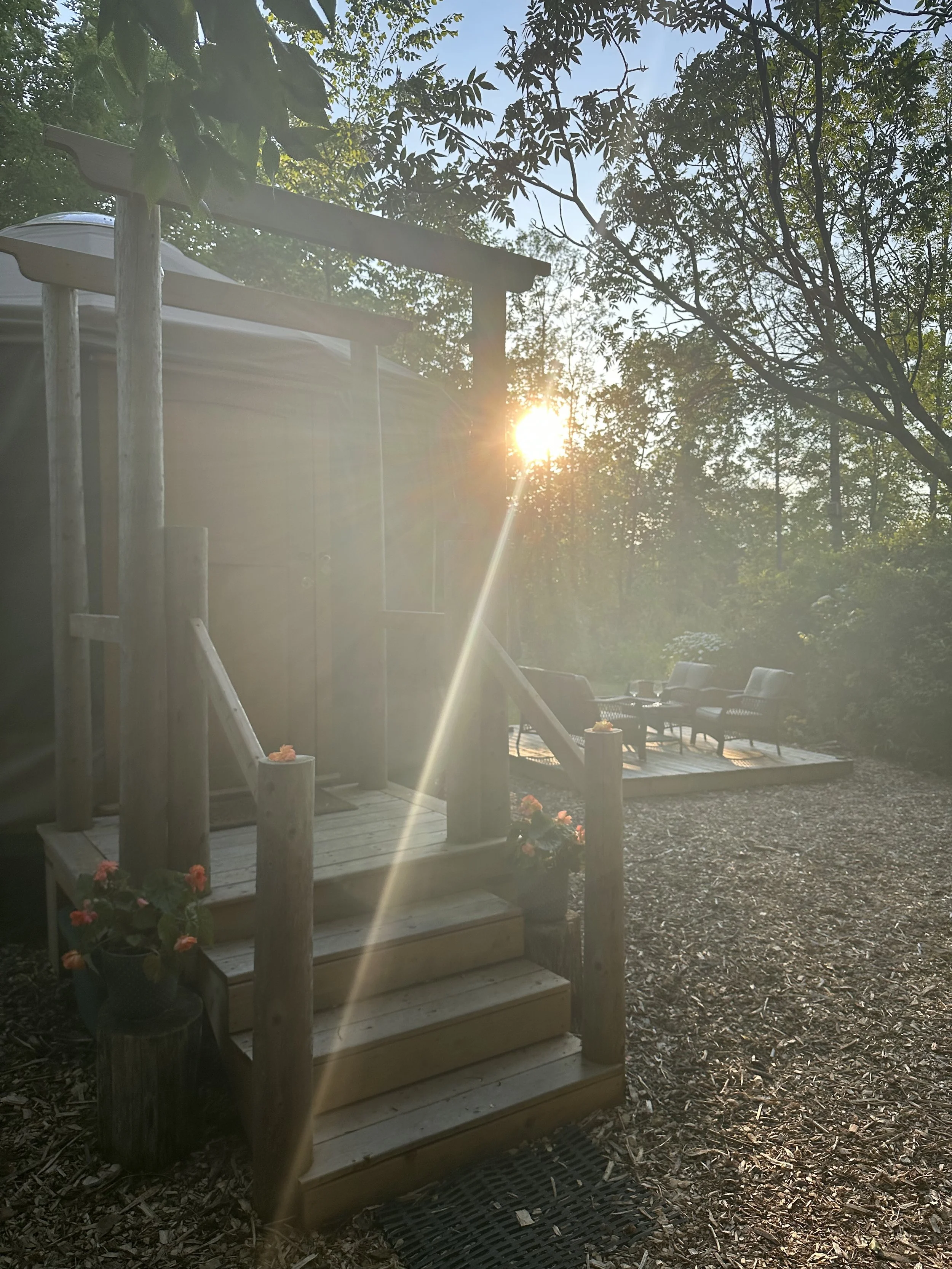 Un cocon en forêt ontarienne : l’art de se sentir invités