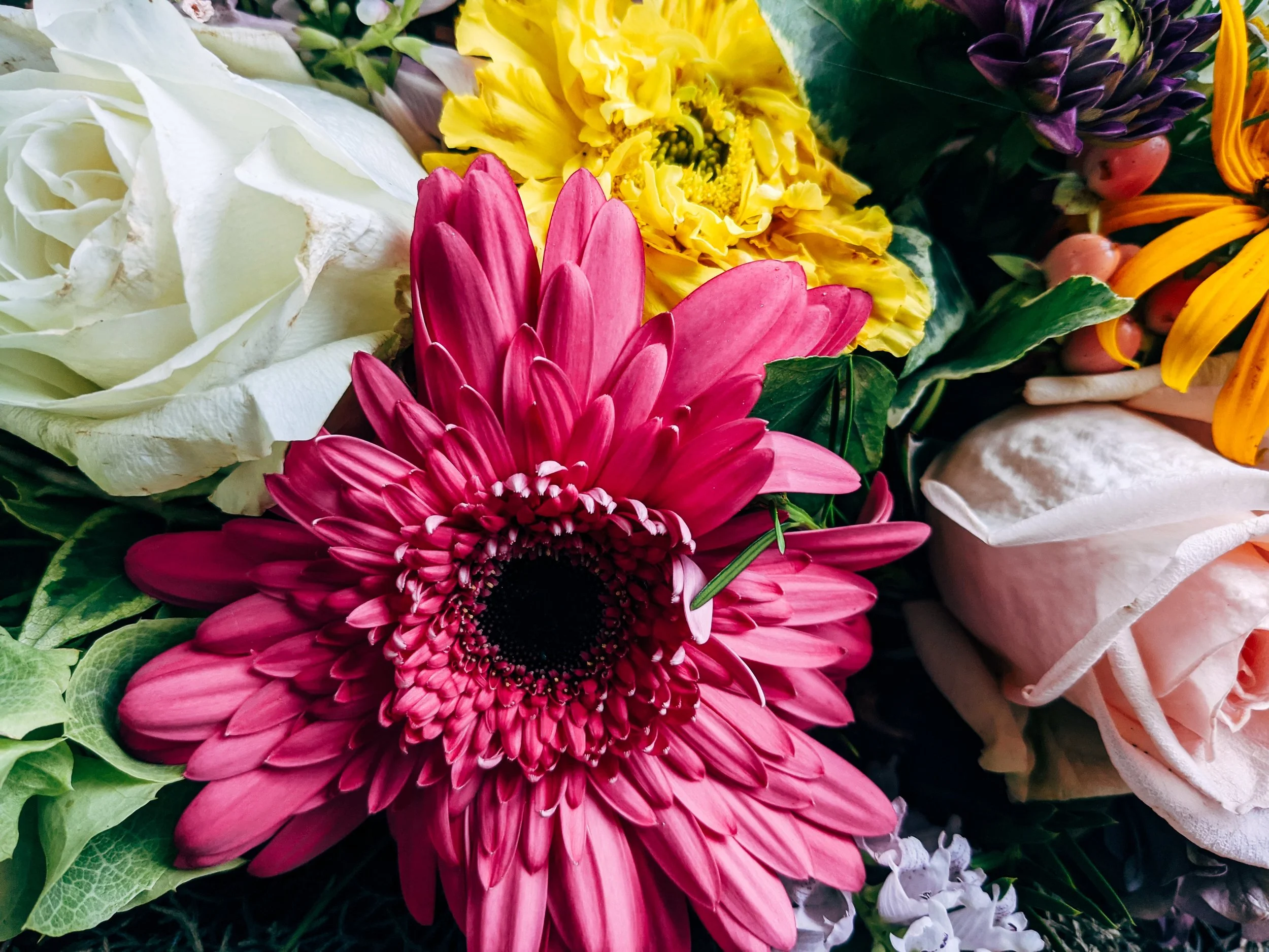 pink-yellow-and-white-bouquet-surrounded-by-roses.jpg