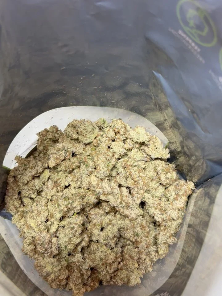 Pack Vision - Harvest #3 💪💨 
*21+ Educational content only* 

Check out the freshest fresh 🌳 

1. Garlic Cocktail (GMO X Mimosa)
2. Royal Runtz (Animal Gas X Obama Runtz)
3. Gemz (Teargas #9 X SubZero #6)
4. Black Maple (Dulce De Uva X Sherbanger)