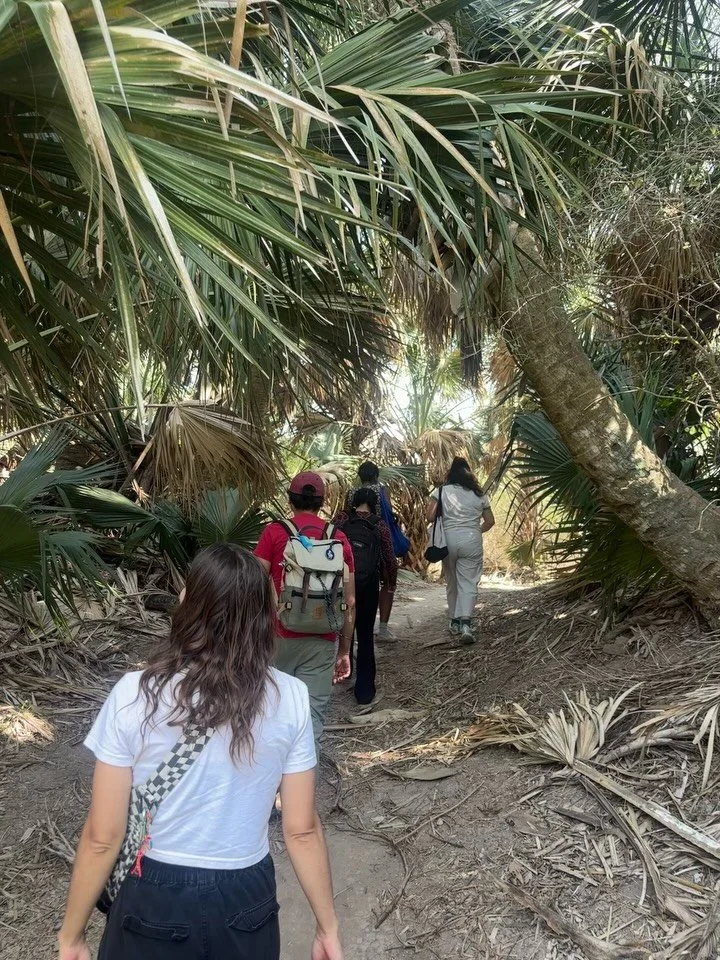 Visits to Sabal Palm Sanctuary (@sabalpalmsanctuary ) and the Moctezuma Cyprus Preserve guided by Eva Ryan! @papercaperco 

#artresidency #brownsville #rgv #rgvlife