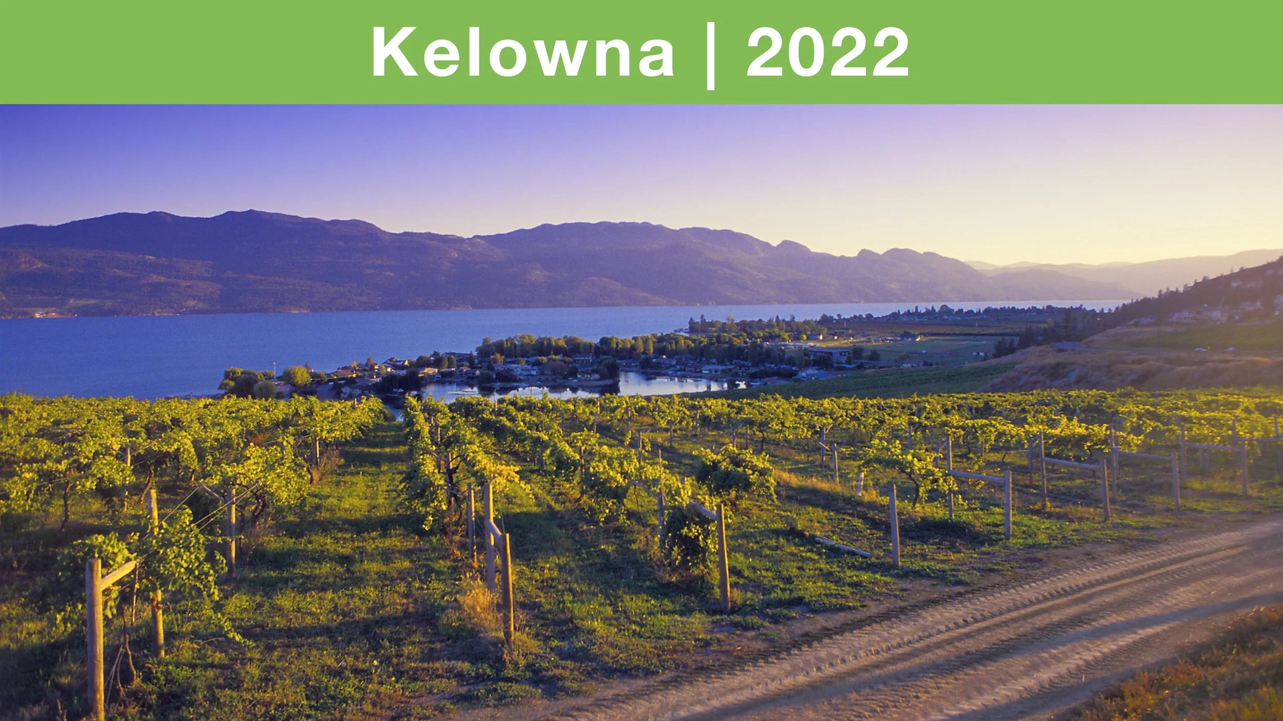 view of Okanagan lake behind Kelowna vineyard 2022