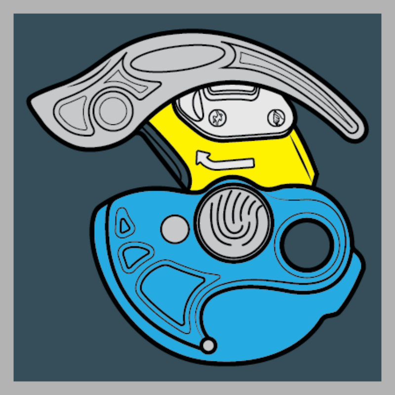 Graphic Design & Illustration