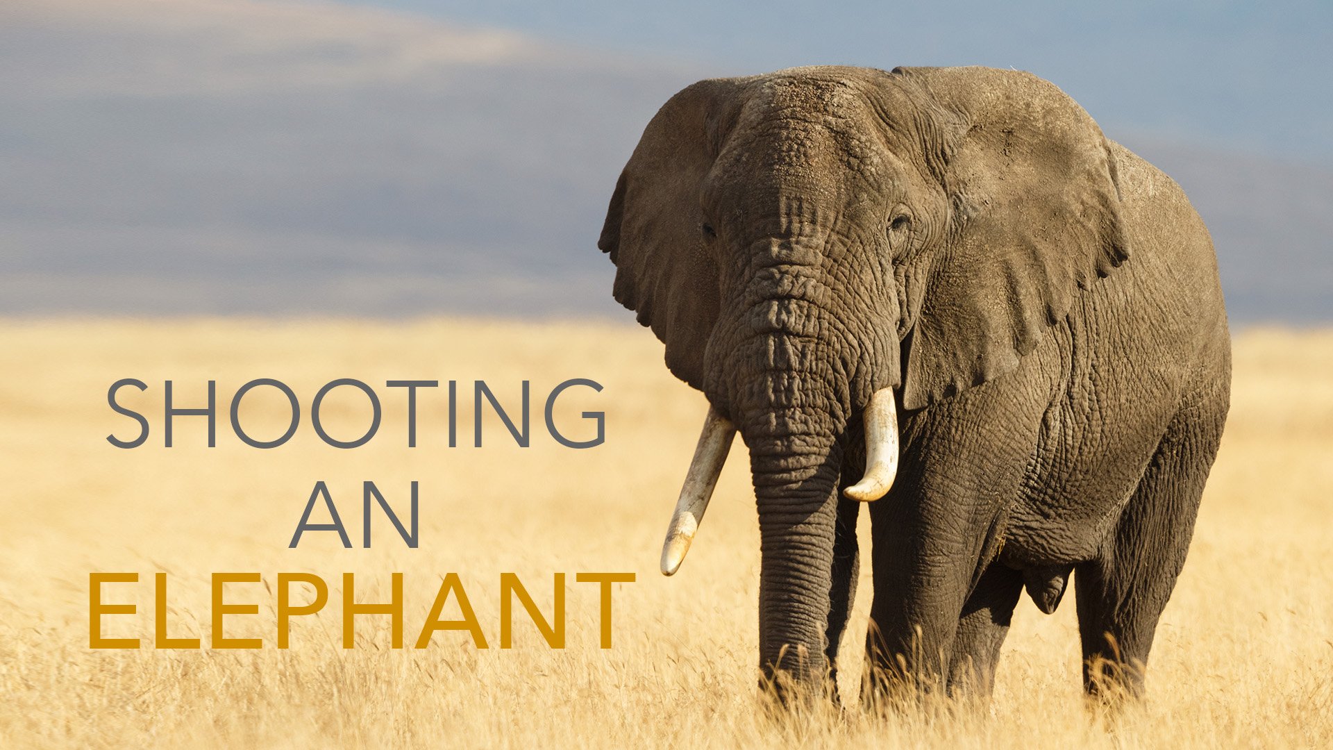 Shooting_An_Elephant.jpg