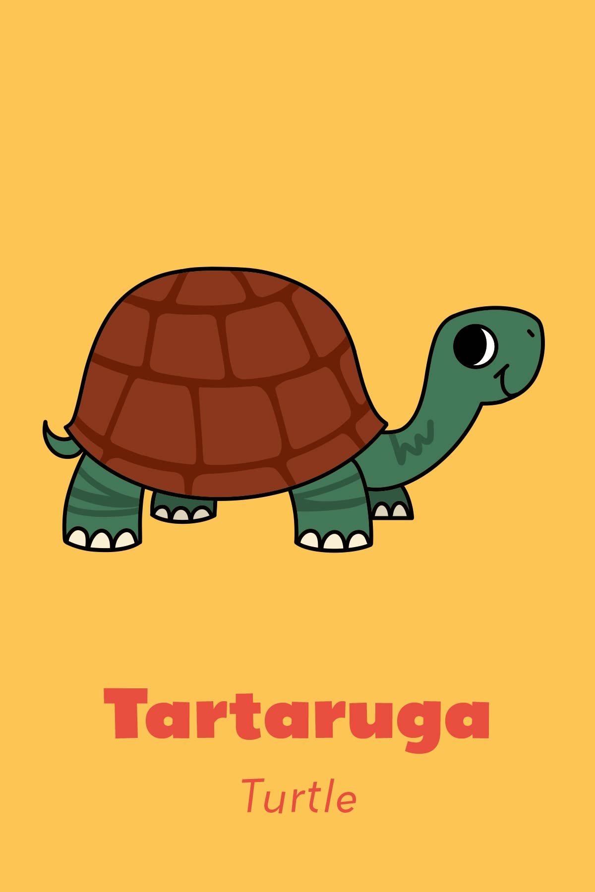 Portuuguese Flash-cards 4-03.jpg