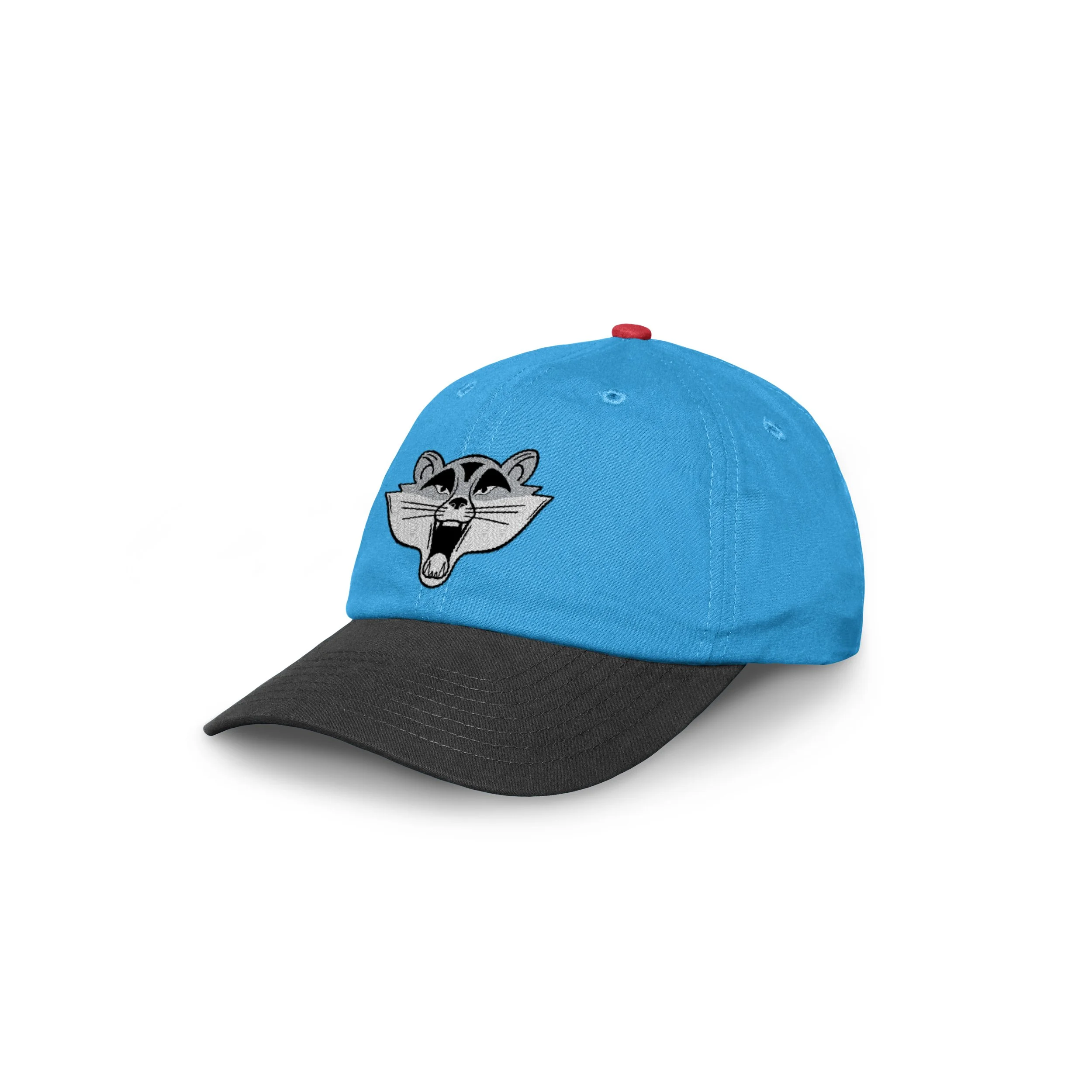 TrashPandas Cap 2.jpg