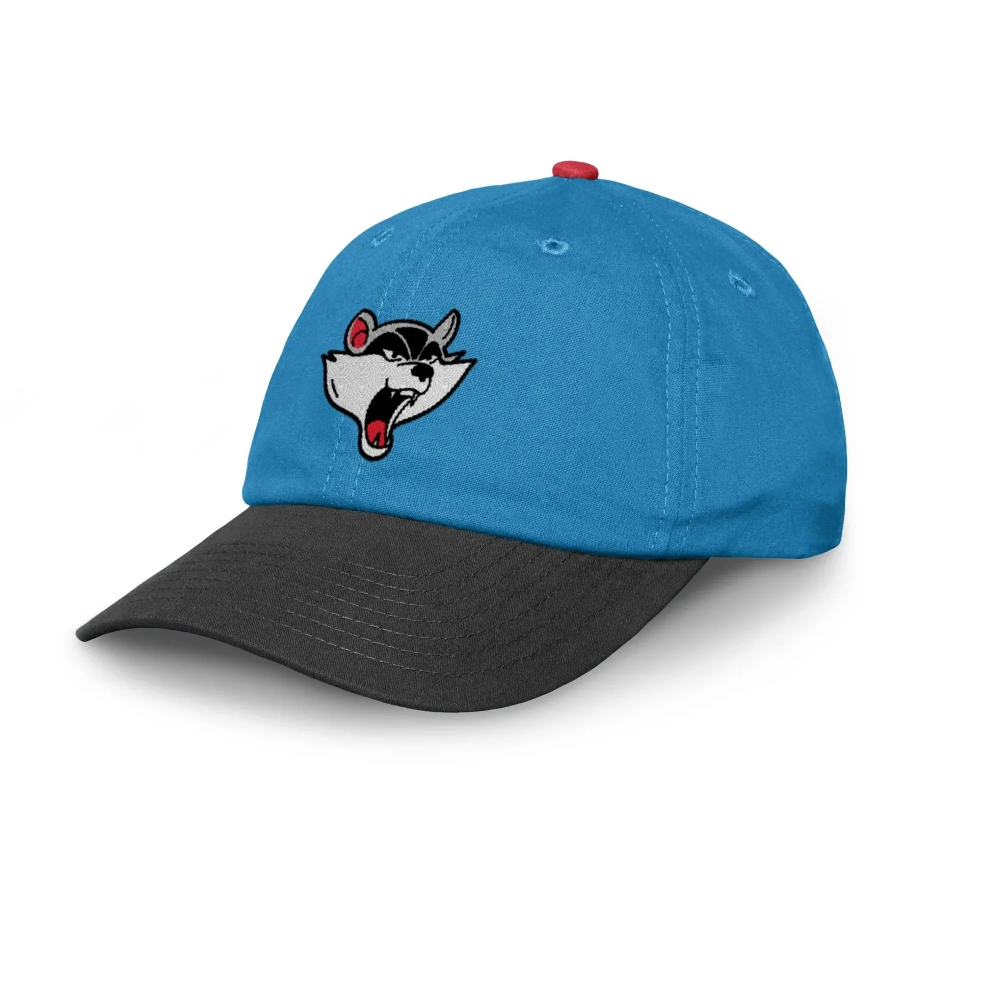 Rocket City Trash Pandas