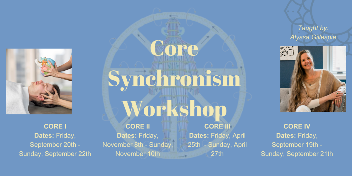 Core Synchronism Workshop – Level 1