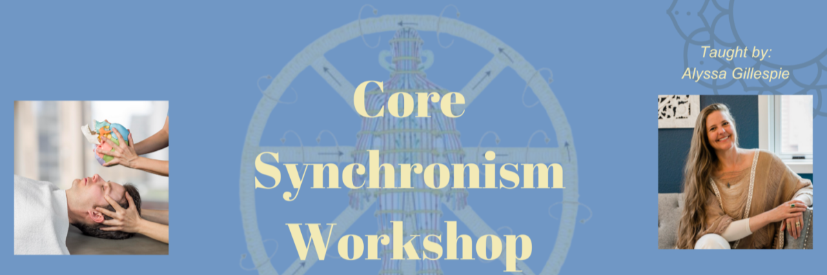 Core Synchronism Workshop – Level 1