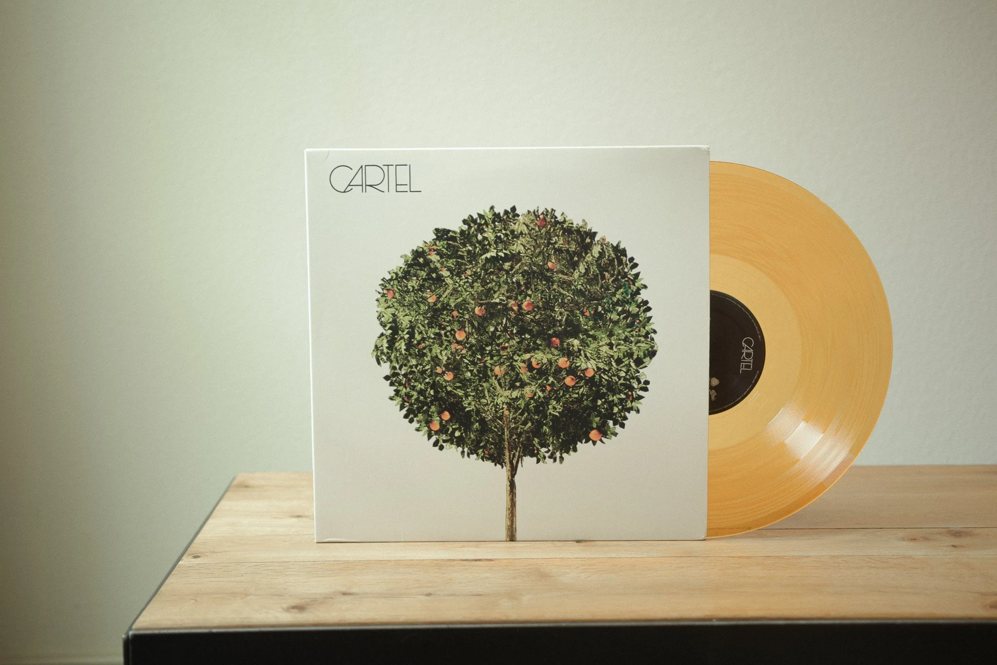 Cartel – Cartel