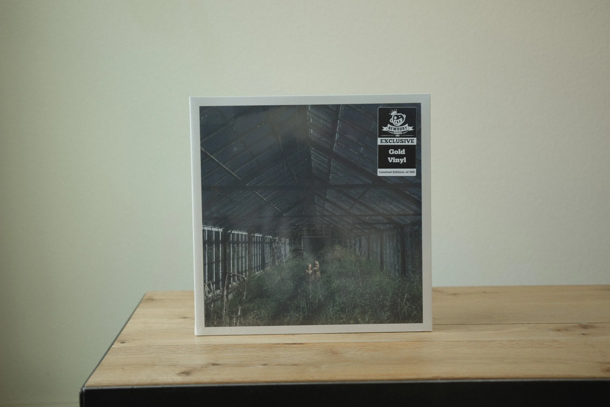 Foxing – Dealer
