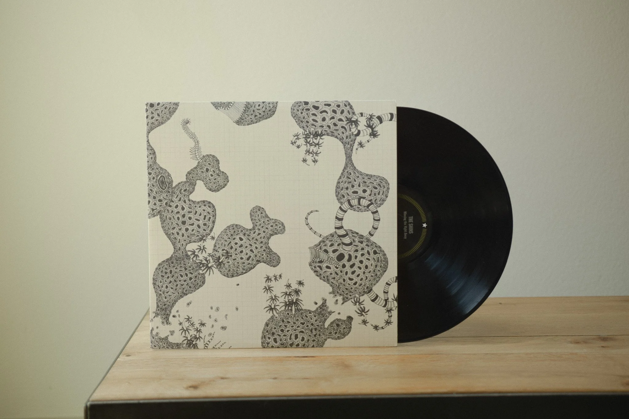 The Shins – Wincing the Night Away