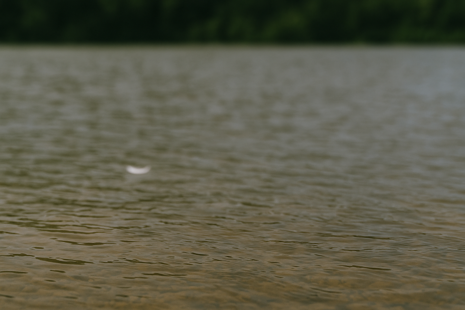 Taustalla metsä ja etualalla sulka järven laineilla symboloimassa Lohdun laineilla tarjoamaa tukea