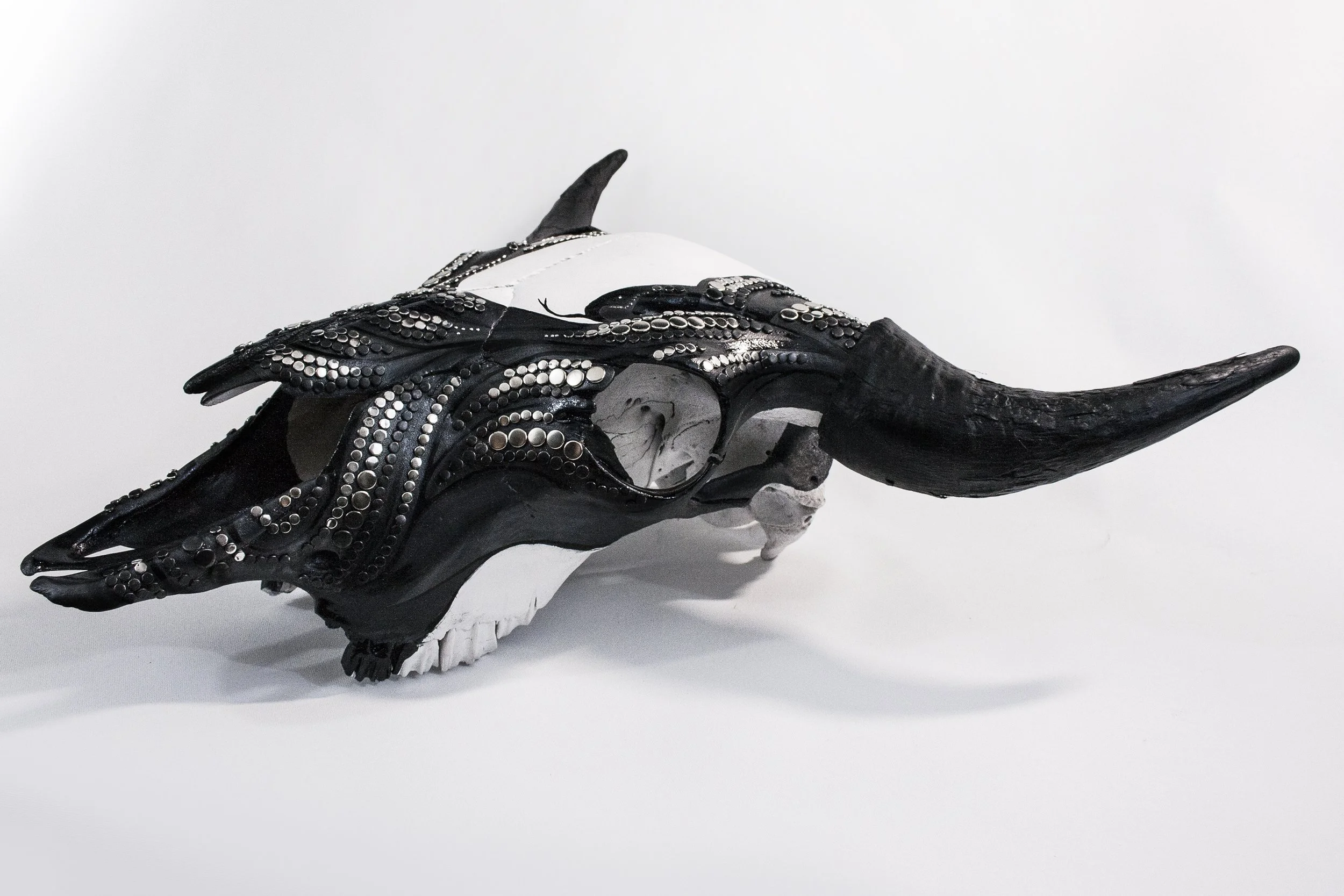 Skull02.jpg