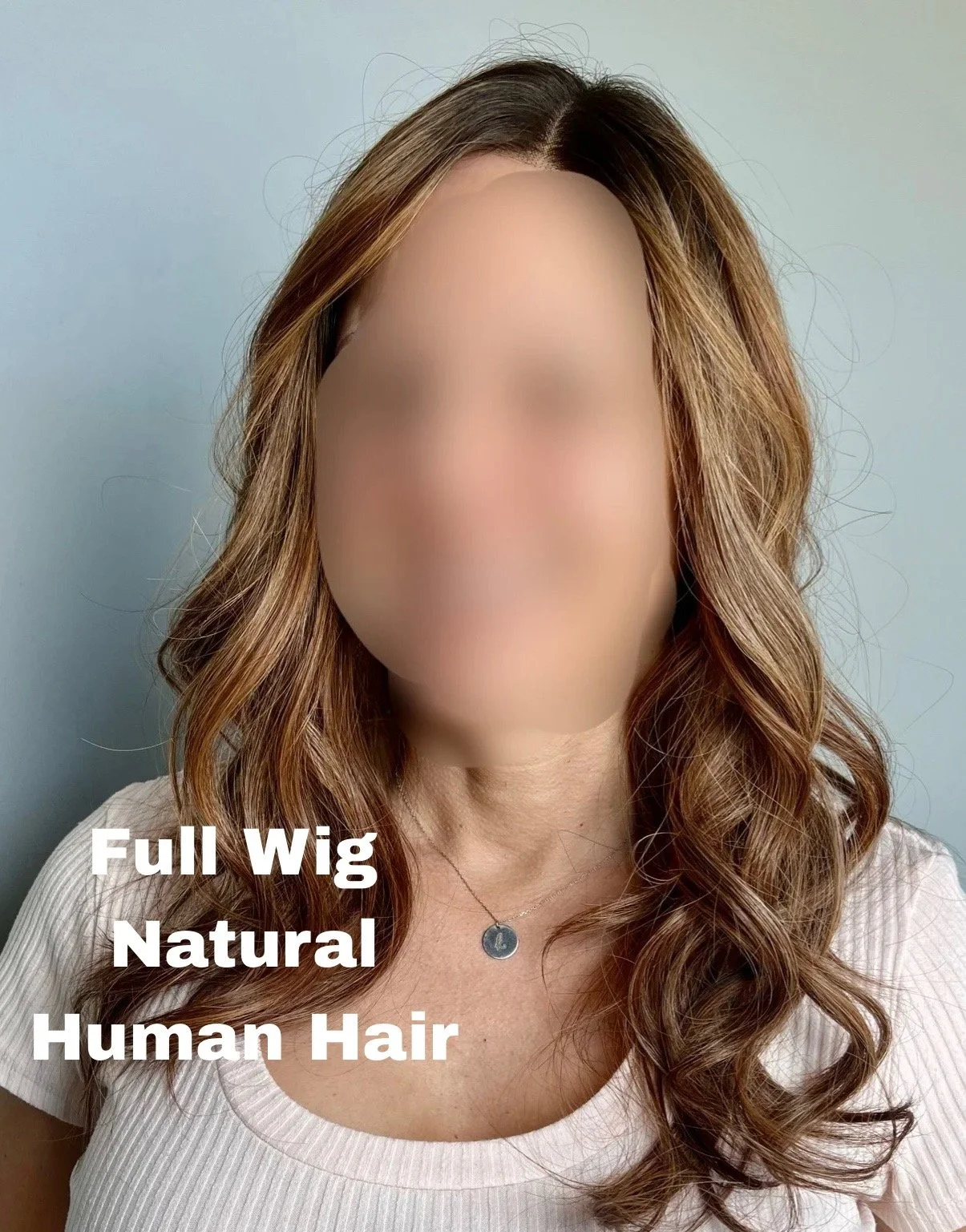 Full Wig Service Natural Human Hair Ashka Salon