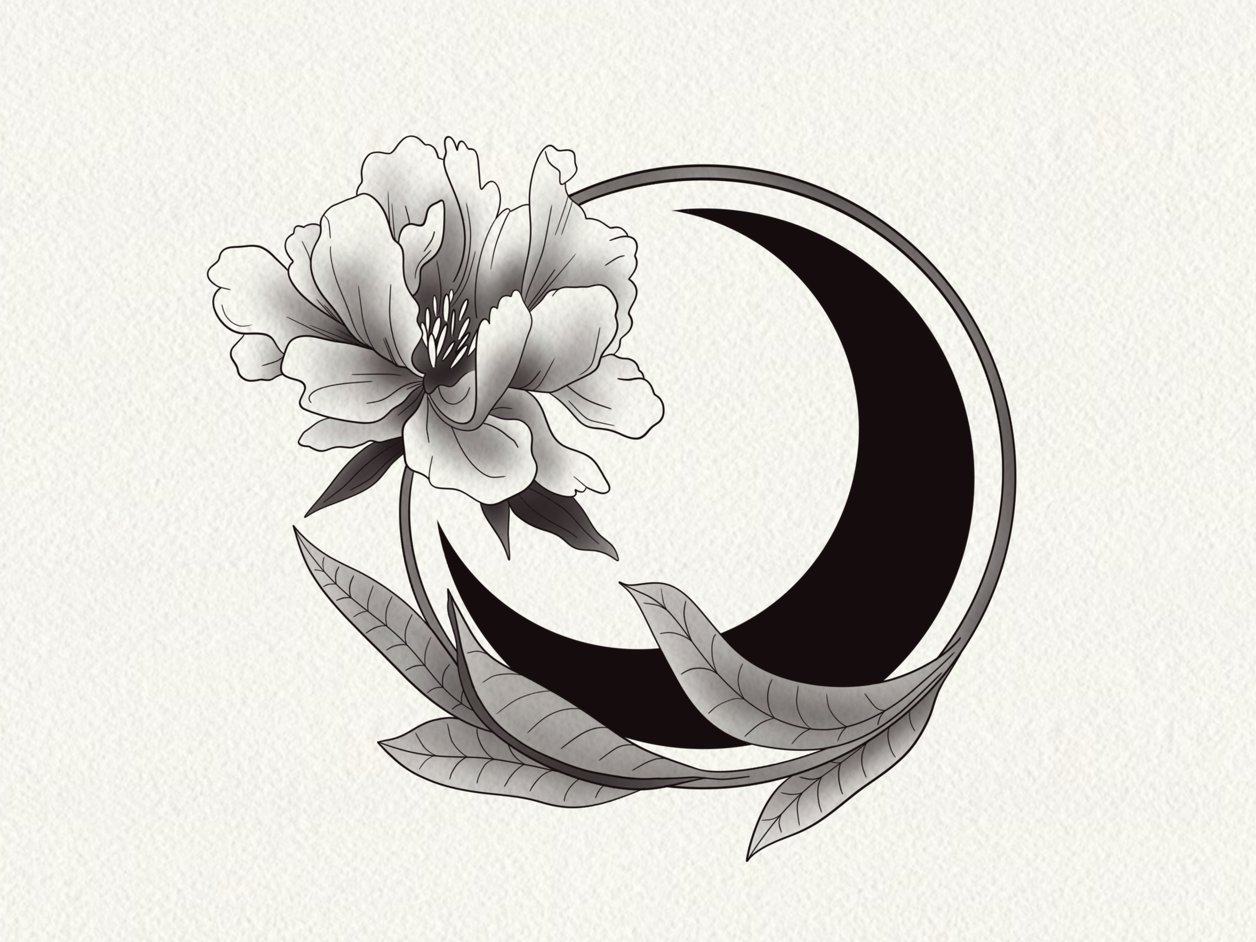 Moonflower