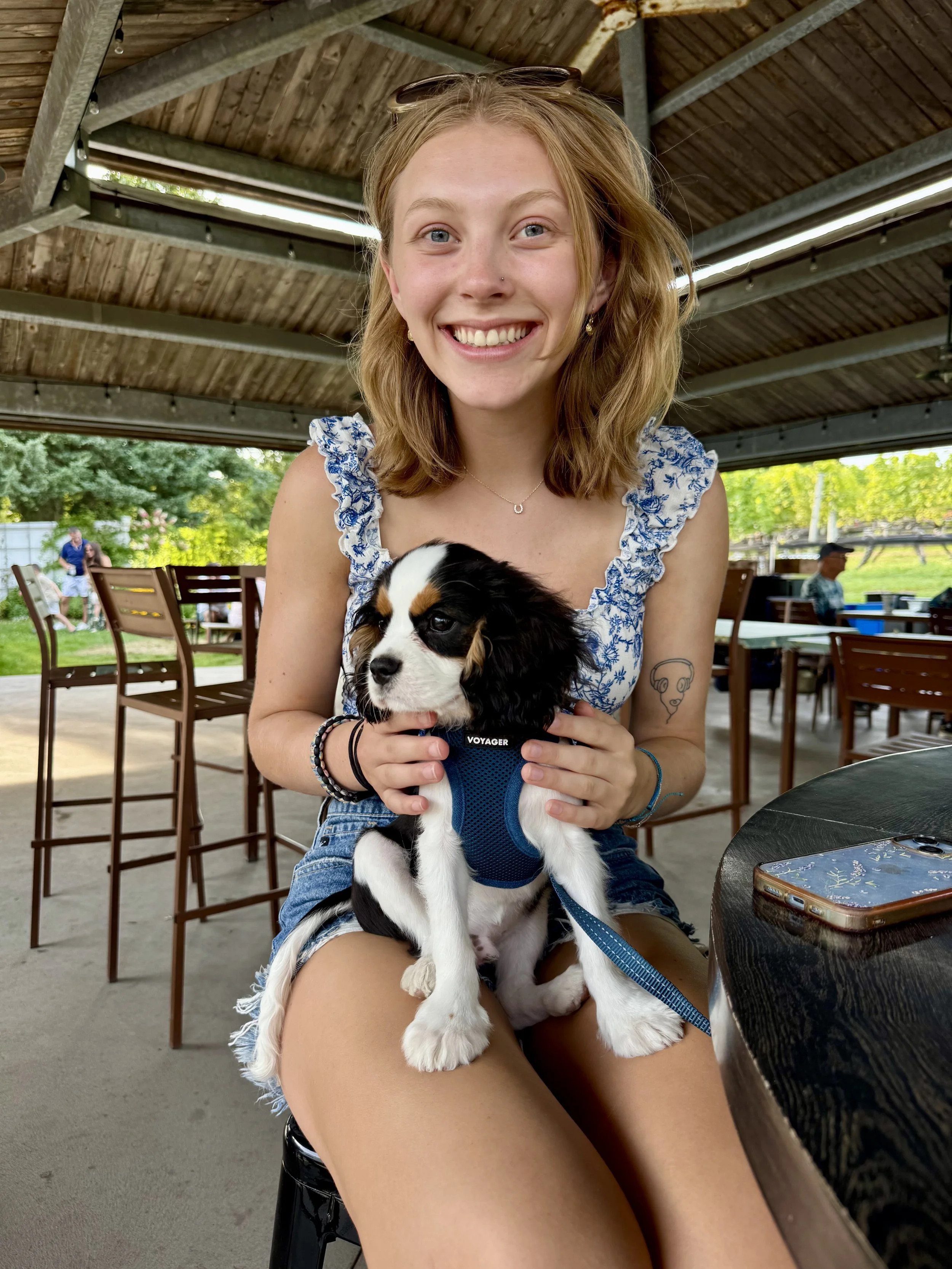 My cousin's dog, Dash 