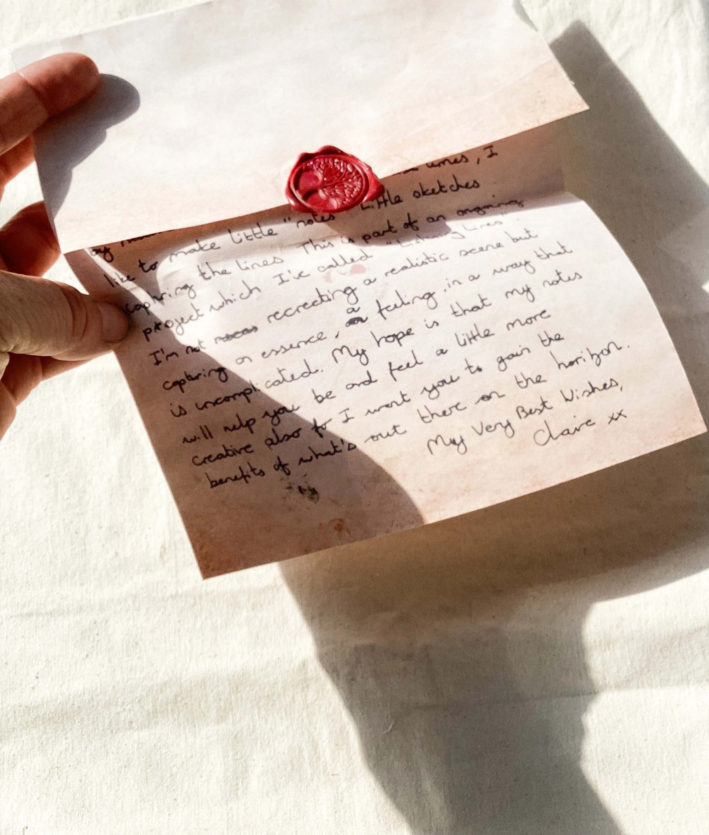 wild edges letter.jpg