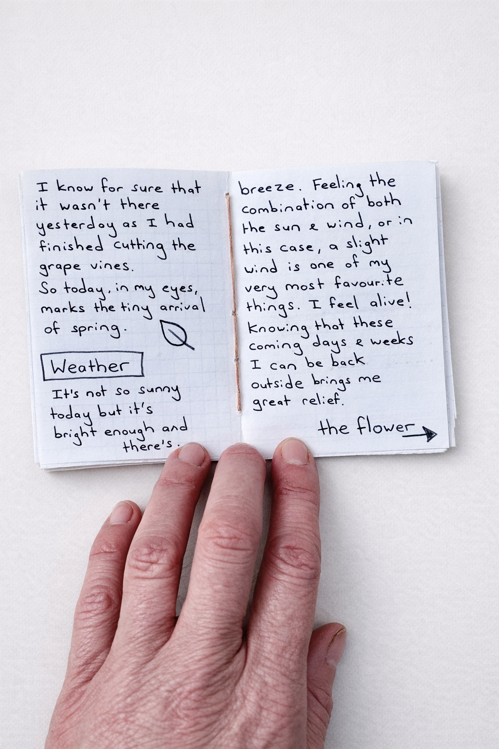 notes from the horizon seasonal zine.png