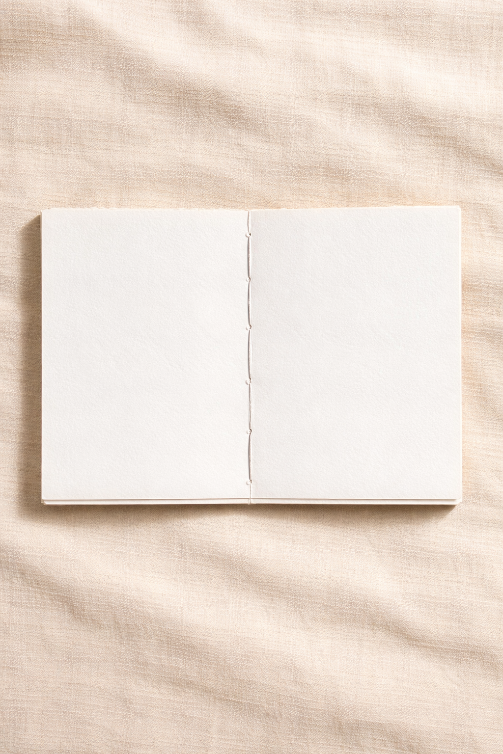 Journals by Claire Gillis.png