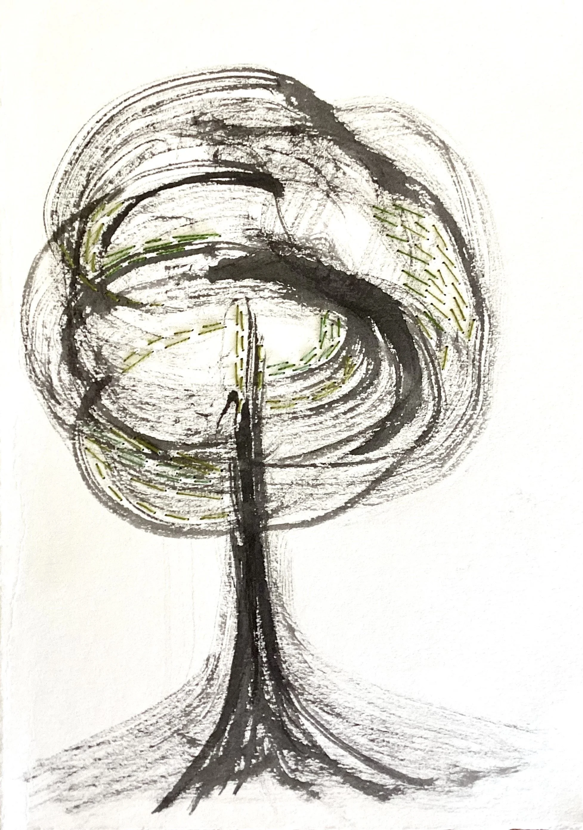 rooted 1 by claire gillis.jpg