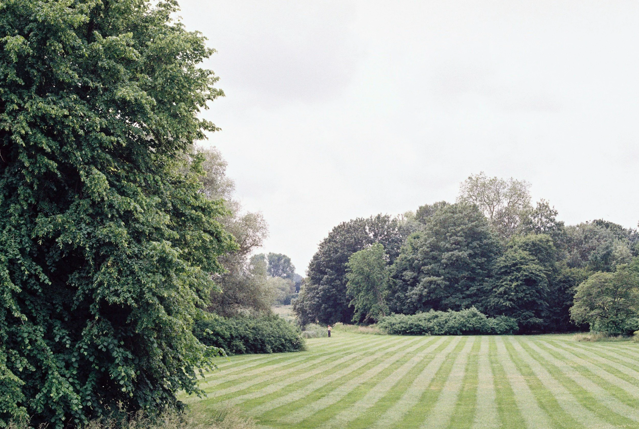 A grassy field with neatly mowed stripes, surrounded by lush green trees under an overcast sky.