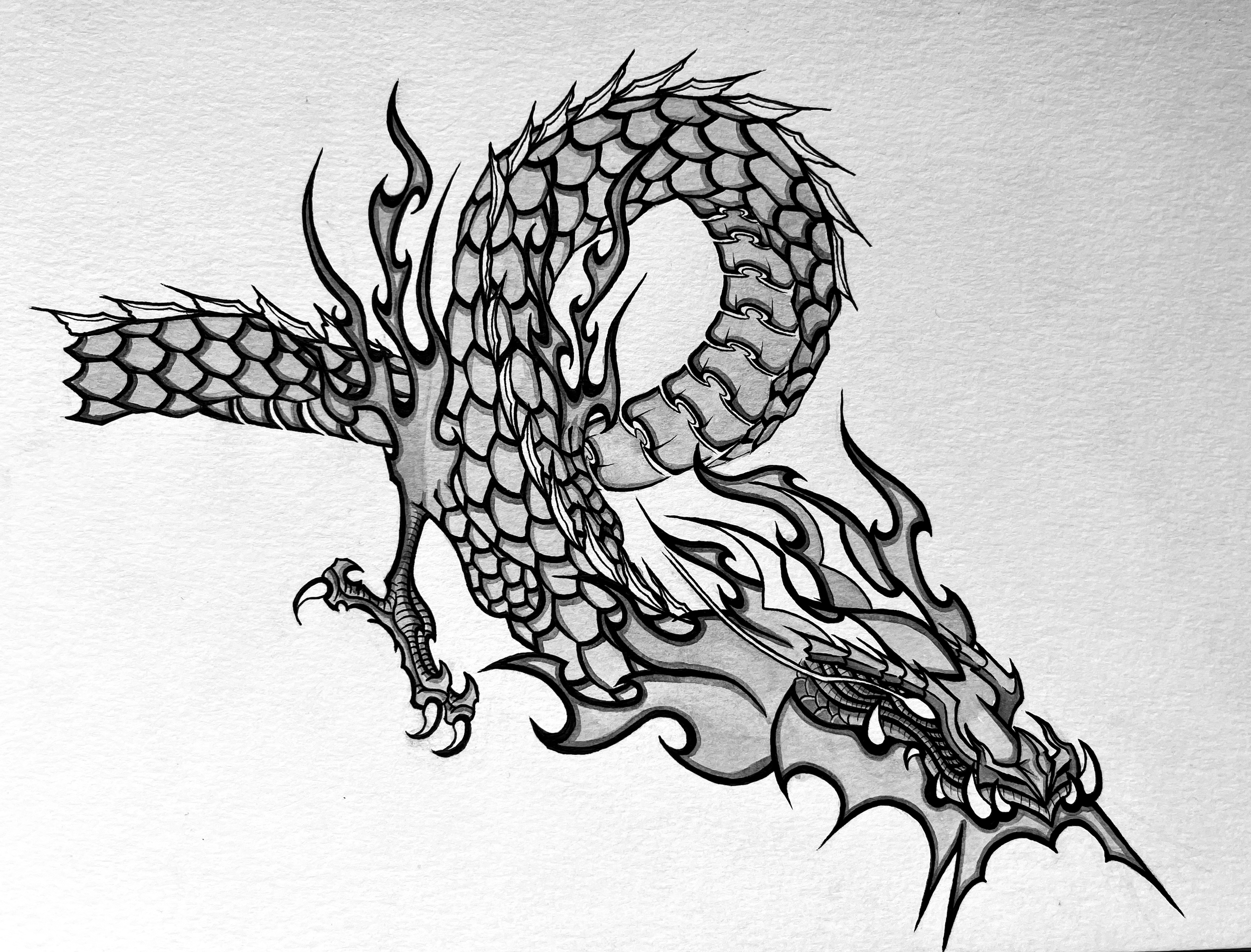 Dragon