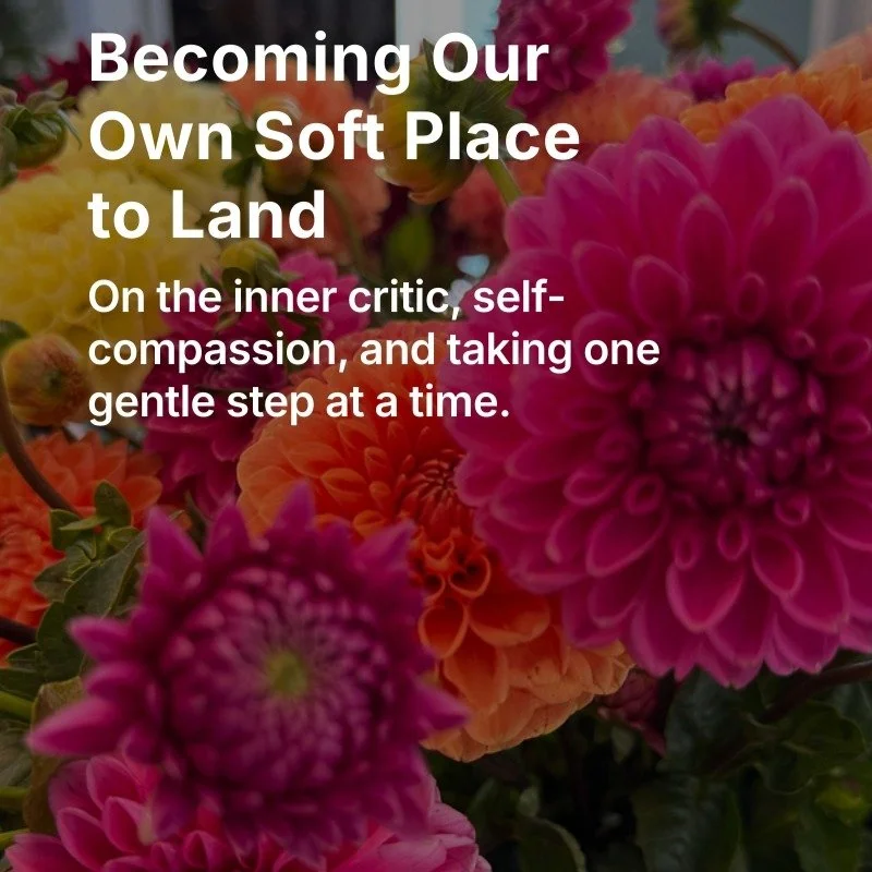 ✨New Compassionette post is live!

This week I&rsquo;m talking about the inner critic. Why she&rsquo;s so loud, how she affects the body, and the first step in softening her voice through self-compassion. Plus: my weekly glimmers to lift you up.

✨Re