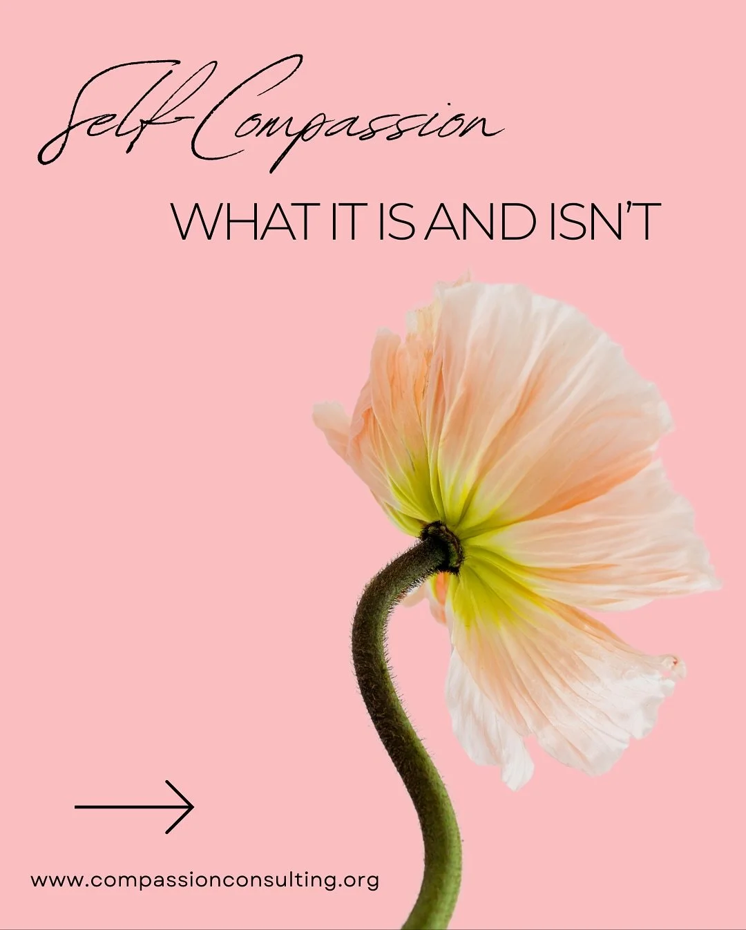 There are soooo many myths about self-compassion. People think it&rsquo;s soft, passive, or means letting yourself off the hook. 

But, honestly, self-compassion is one of the most active things you can do. It takes real courage to face your pain ins