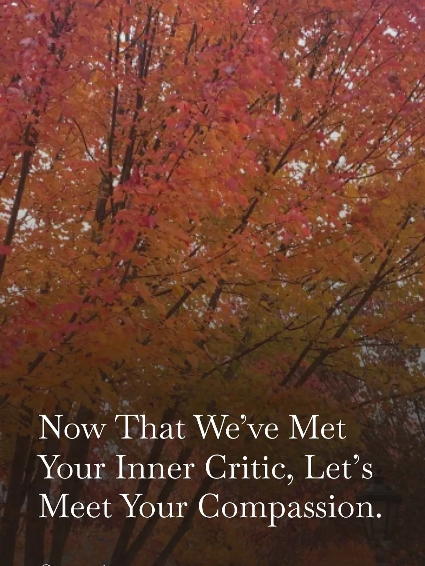 You can&rsquo;t heal in the same voice that hurts you. Maybe it&rsquo;s time to try something different. 
This week on Compassionette, I&rsquo;m breaking down the three components of self-compassion - mindfulness, common humanity, and self-kindness -