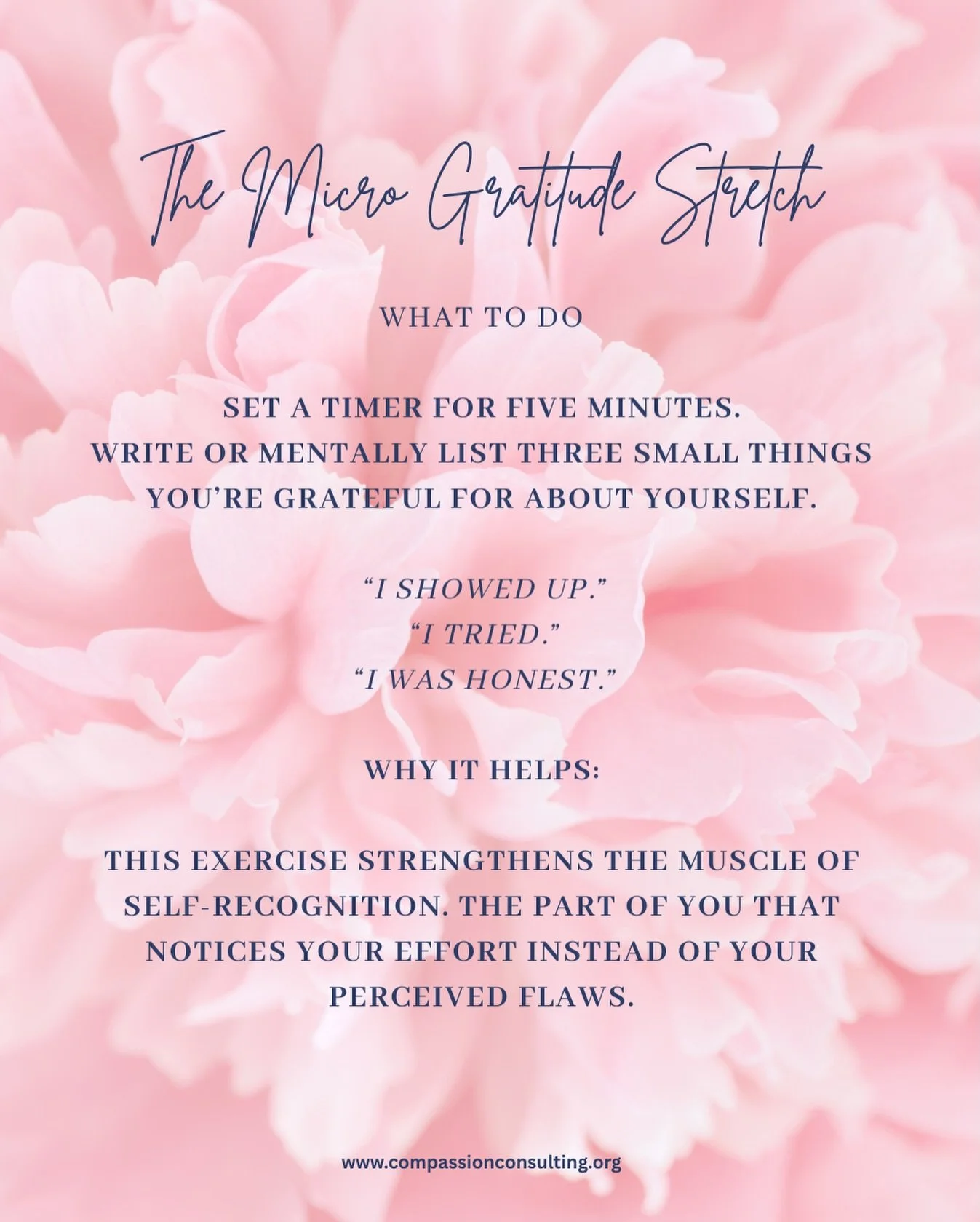 As we head into Thanksgiving week, here&rsquo;s a small practice to bring some of that gratitude inward too.

What to do: 
Set a timer for five minutes.
Write or quietly name three small things you&rsquo;re grateful for about yourself.

&ldquo;I show