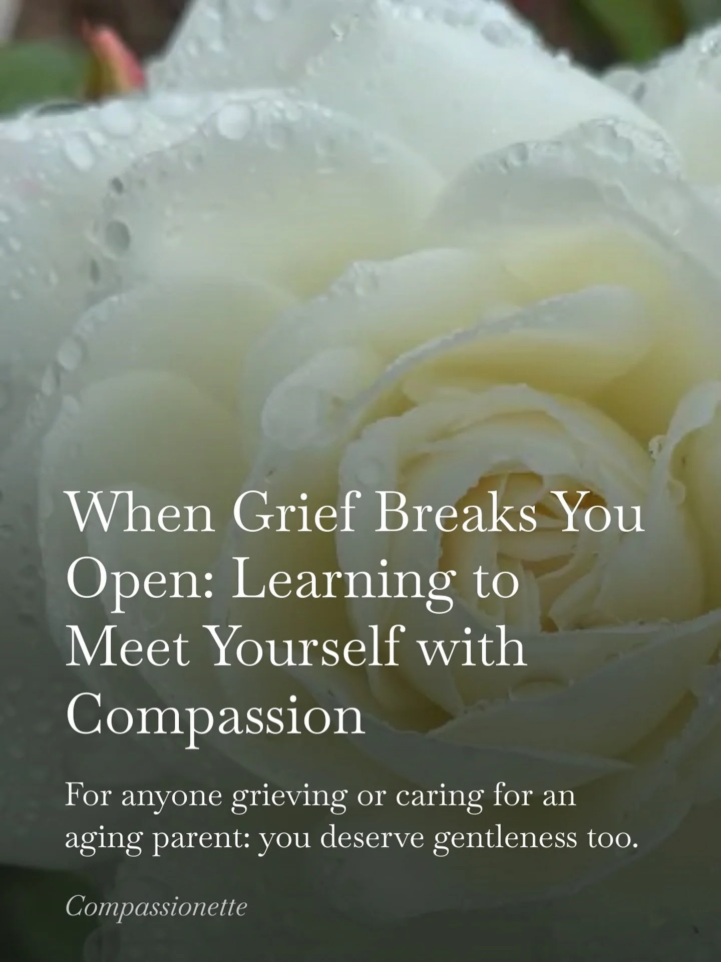Grief has a way of asking more from us than we think we have. Losing my dad taught me that even the most compassionate among us forget to turn that softness inward. 

If you&rsquo;re walking through grief or caring for an aging parent, I hope you rem
